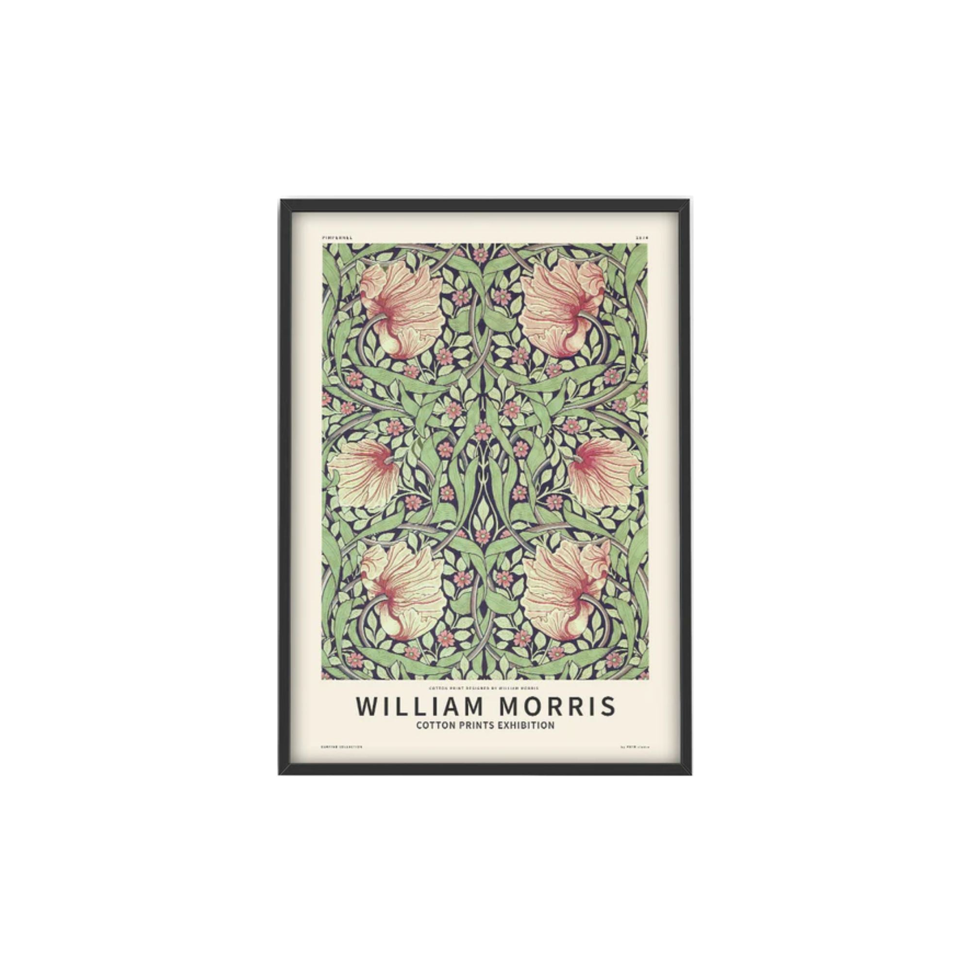 Affiche PSTR Studio - William Morris, Pimpernel