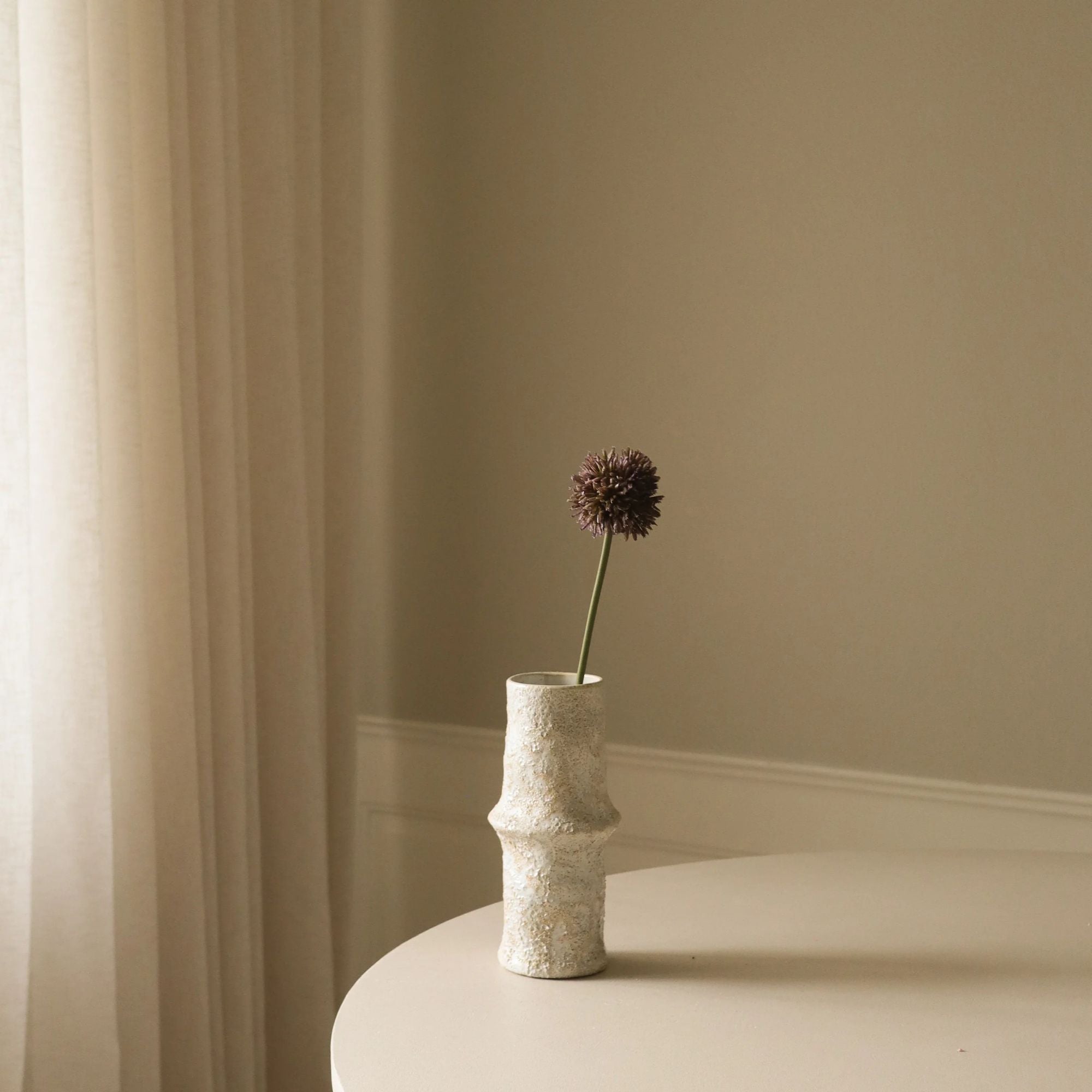 Botané, Allium - Violette