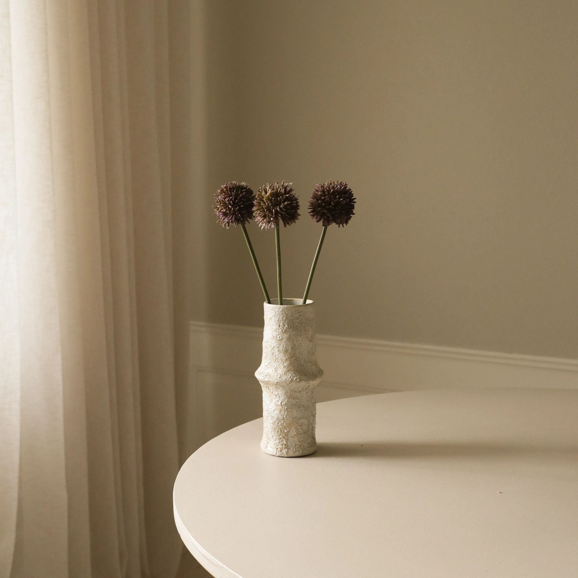 Botané, Allium - Violette