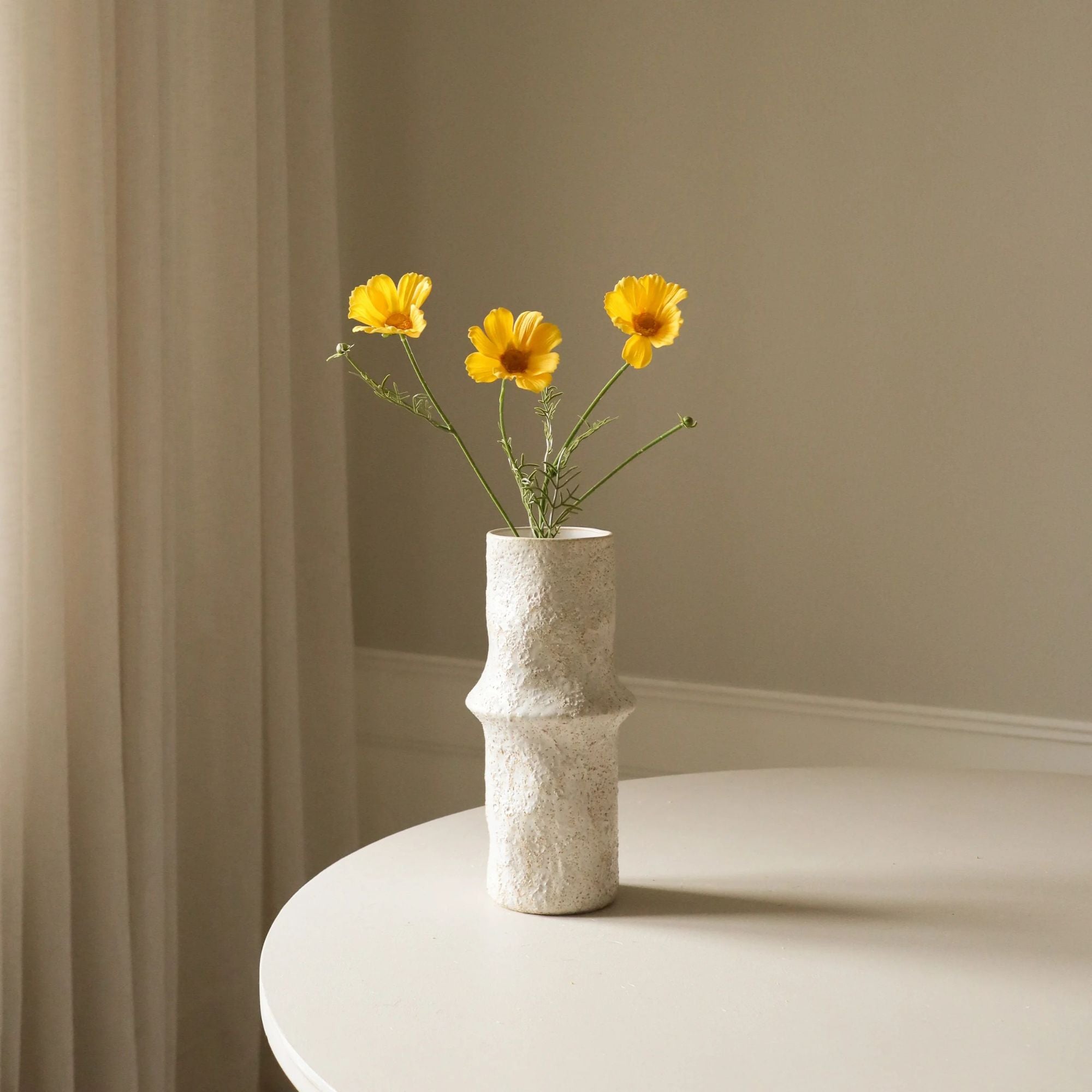 Botané, Cosmos - Jaune