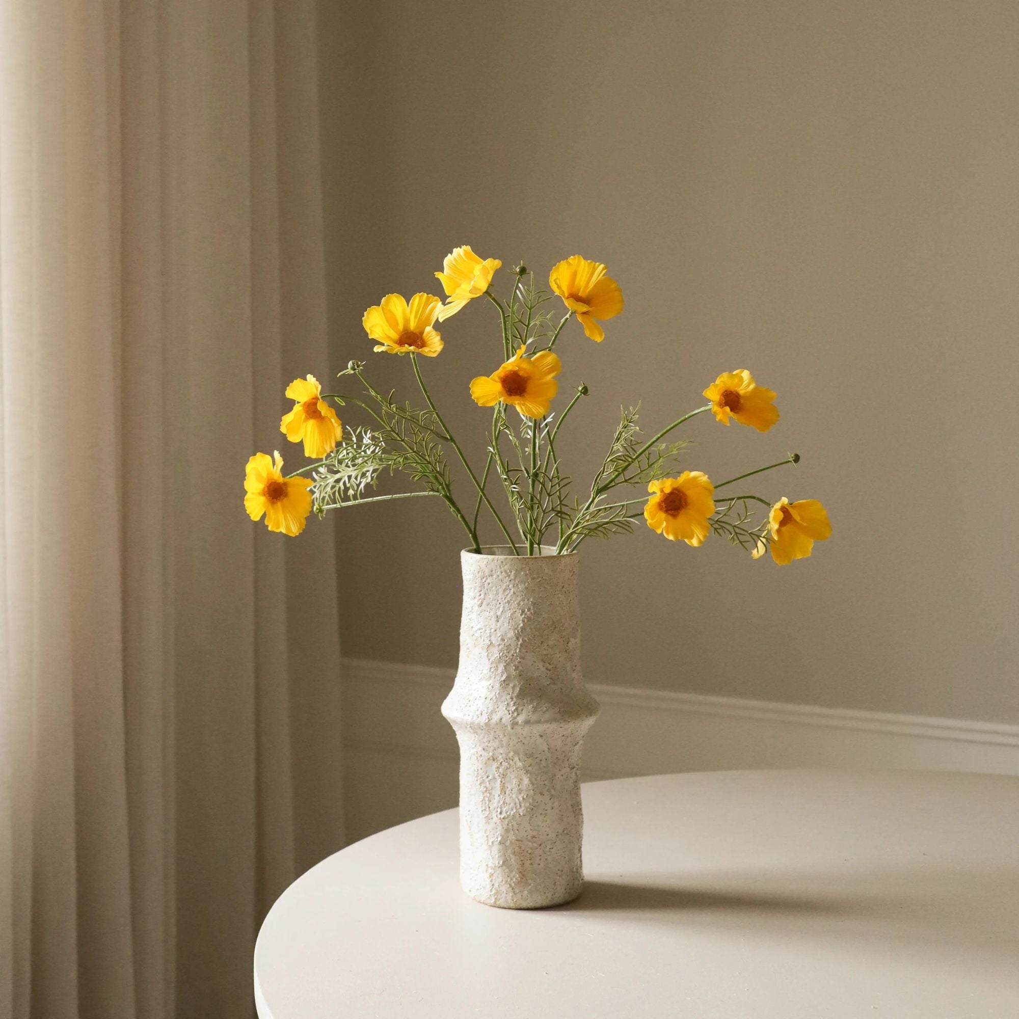 Botané, Cosmos - Jaune