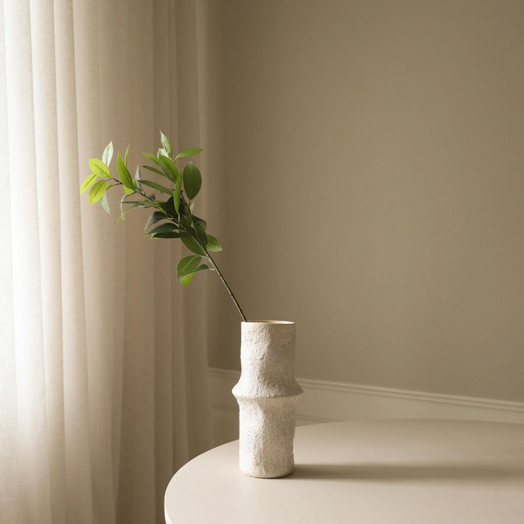 Botané, Feuilles de Ruscus - Vert