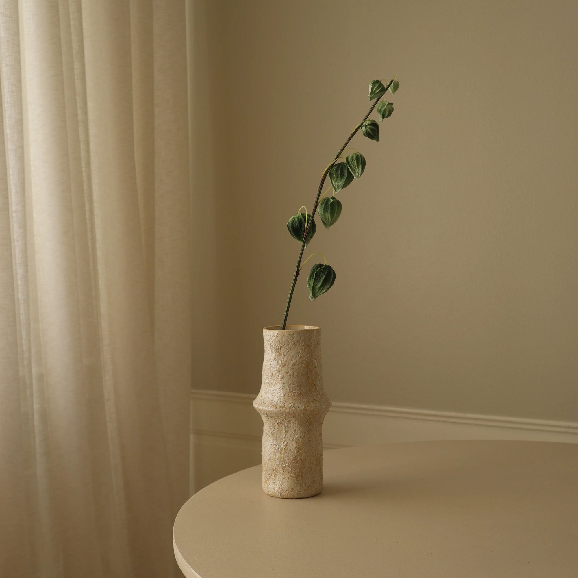 Botané, Physalis - Vert