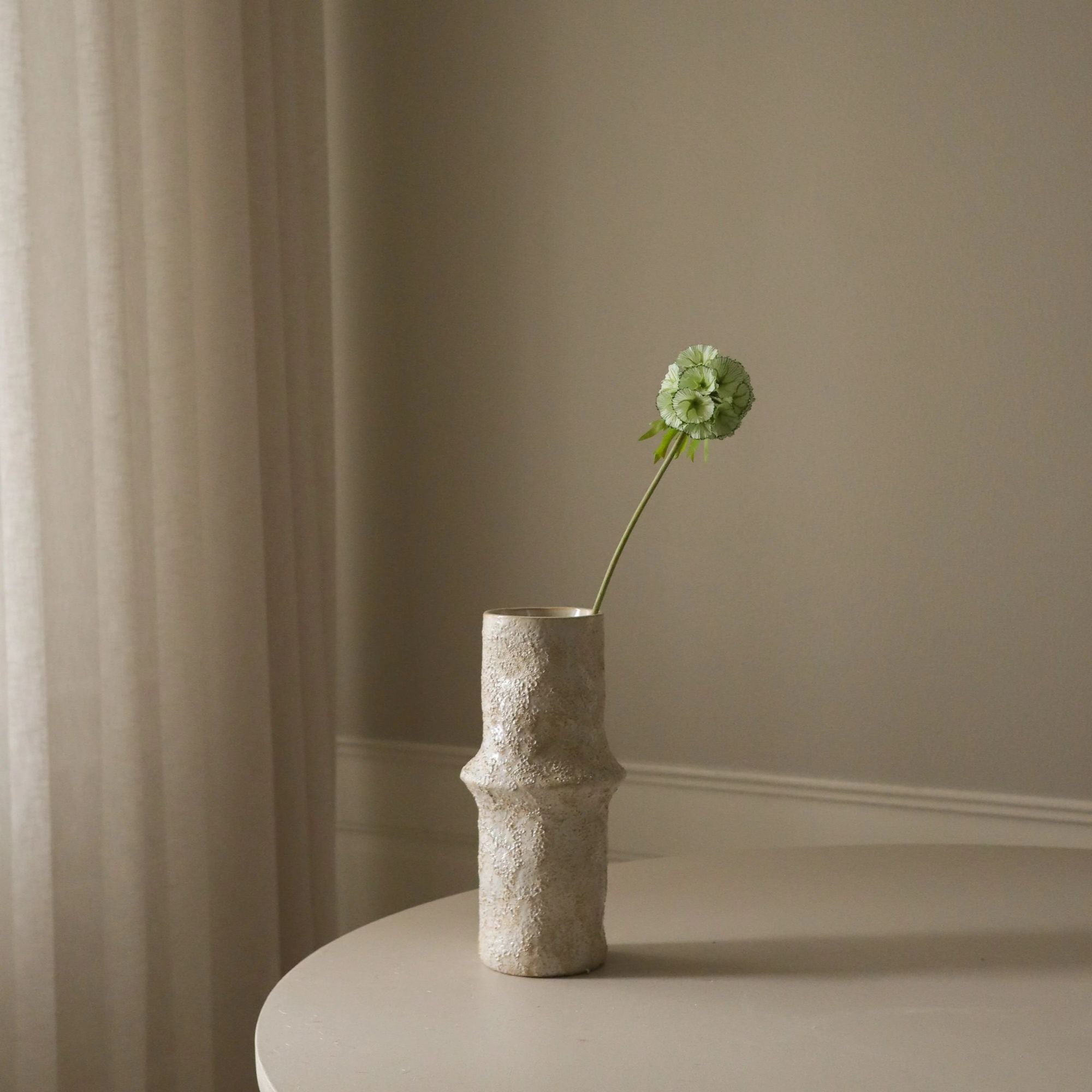 Botané, Scabiosa - Vert Clair