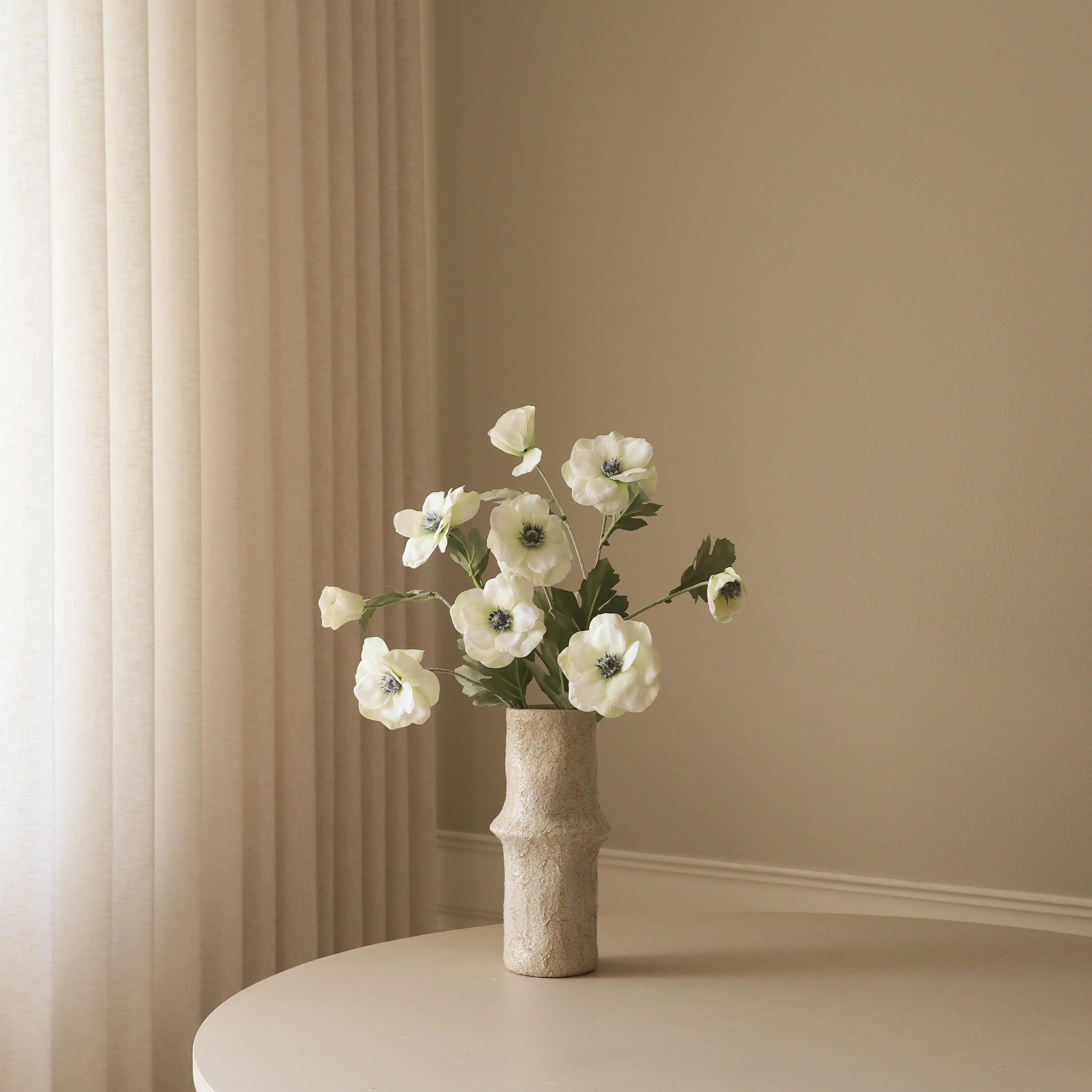 Botané, Anémone - Blanche