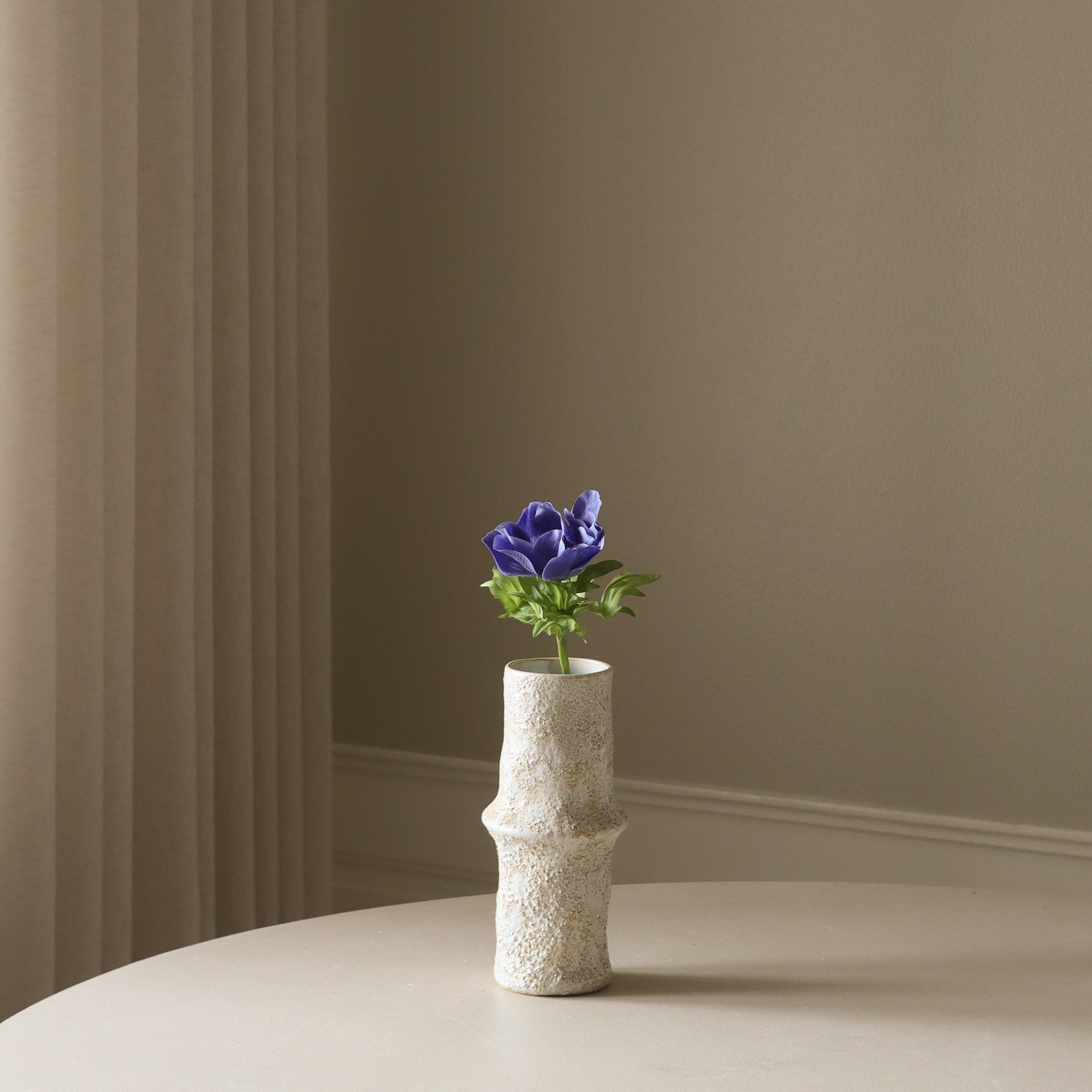 Botané, Anémone - Bleue