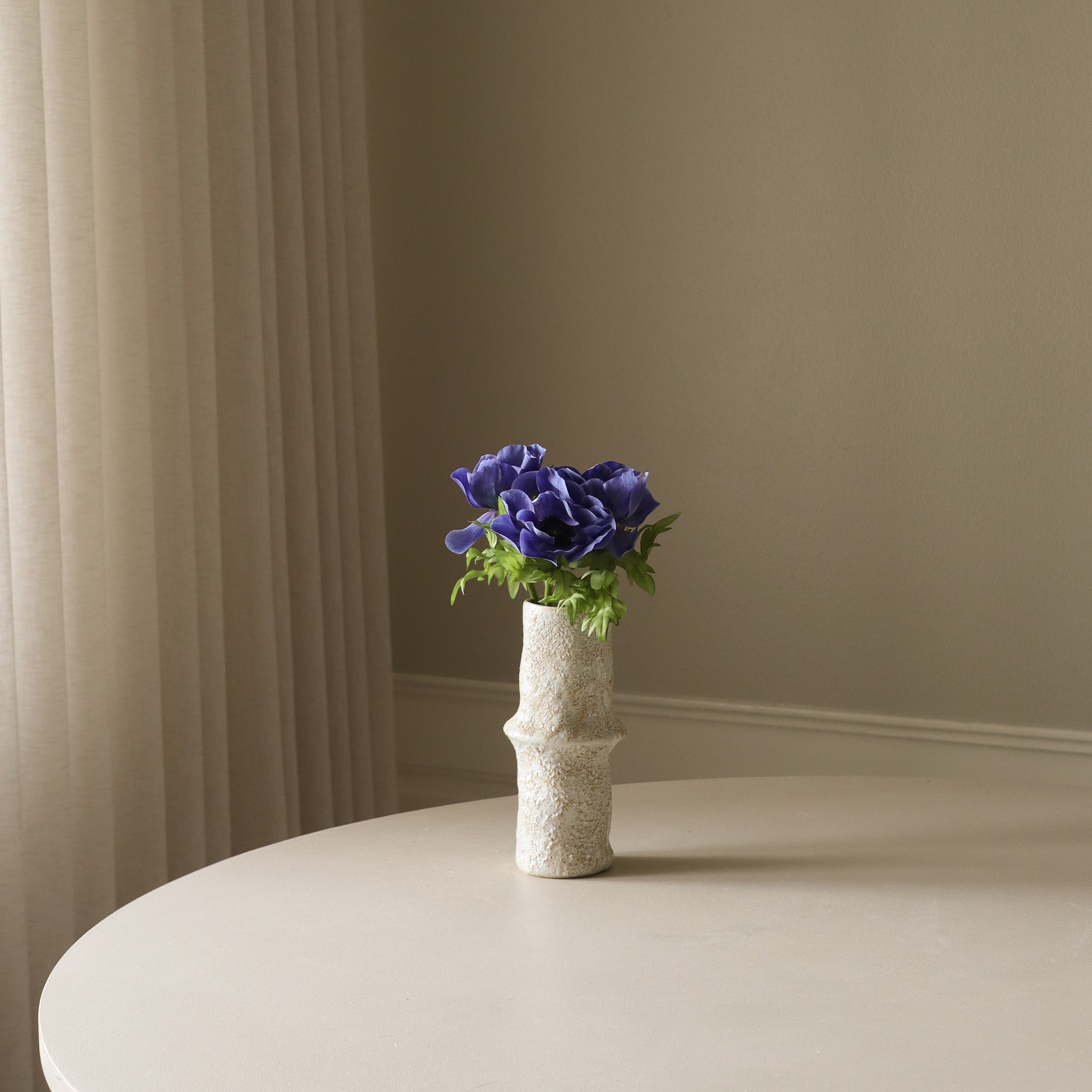 Botané, Anémone - Bleue