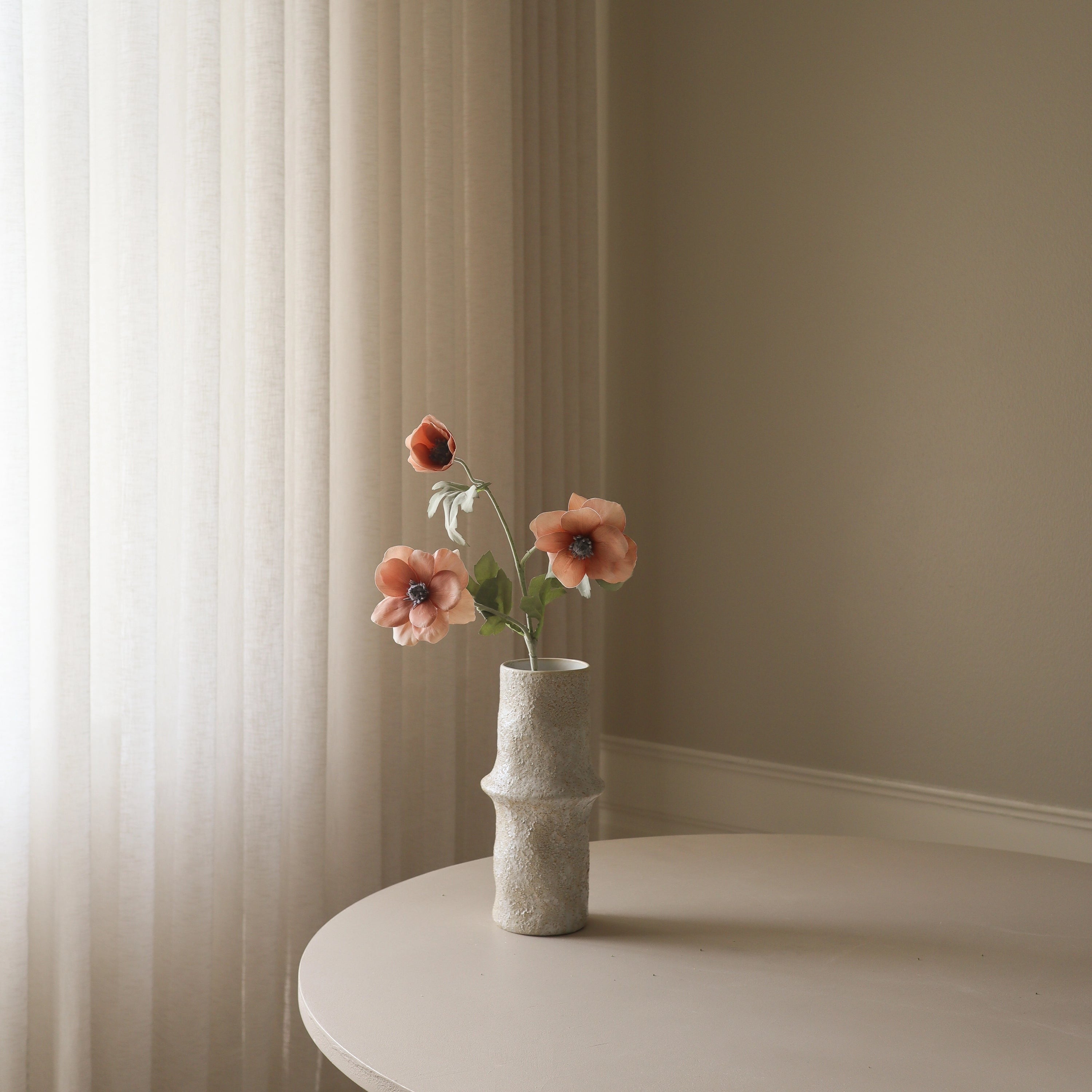 Botané, Anémone - Champagne