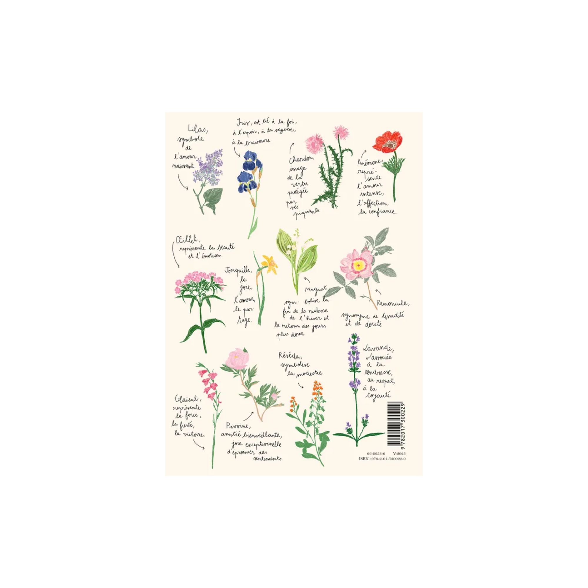 Carnet Fleurs A4 - Zoé de Las Cases