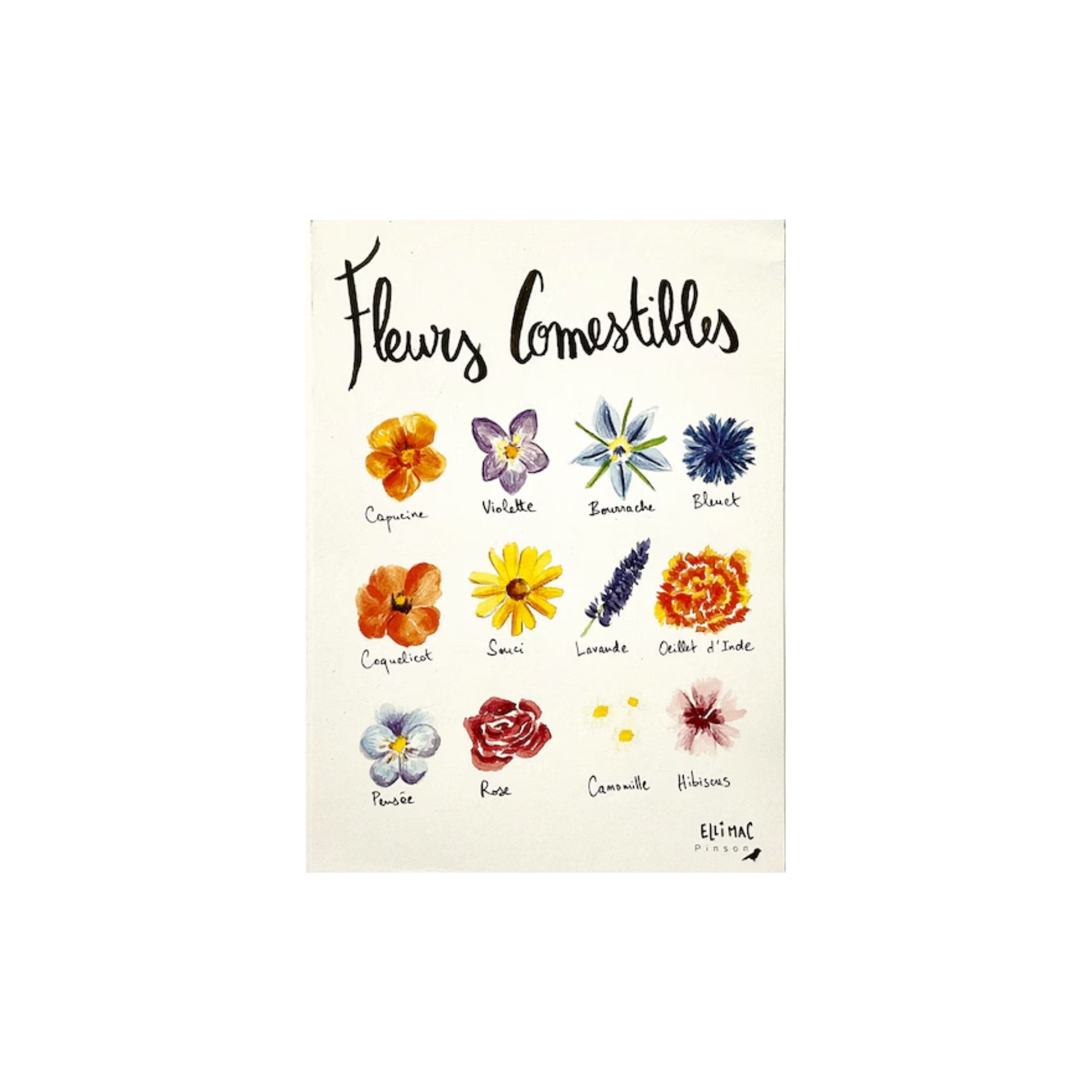 Ellimac Pinson , Grande carte A5 "Fleurs Comestibles"