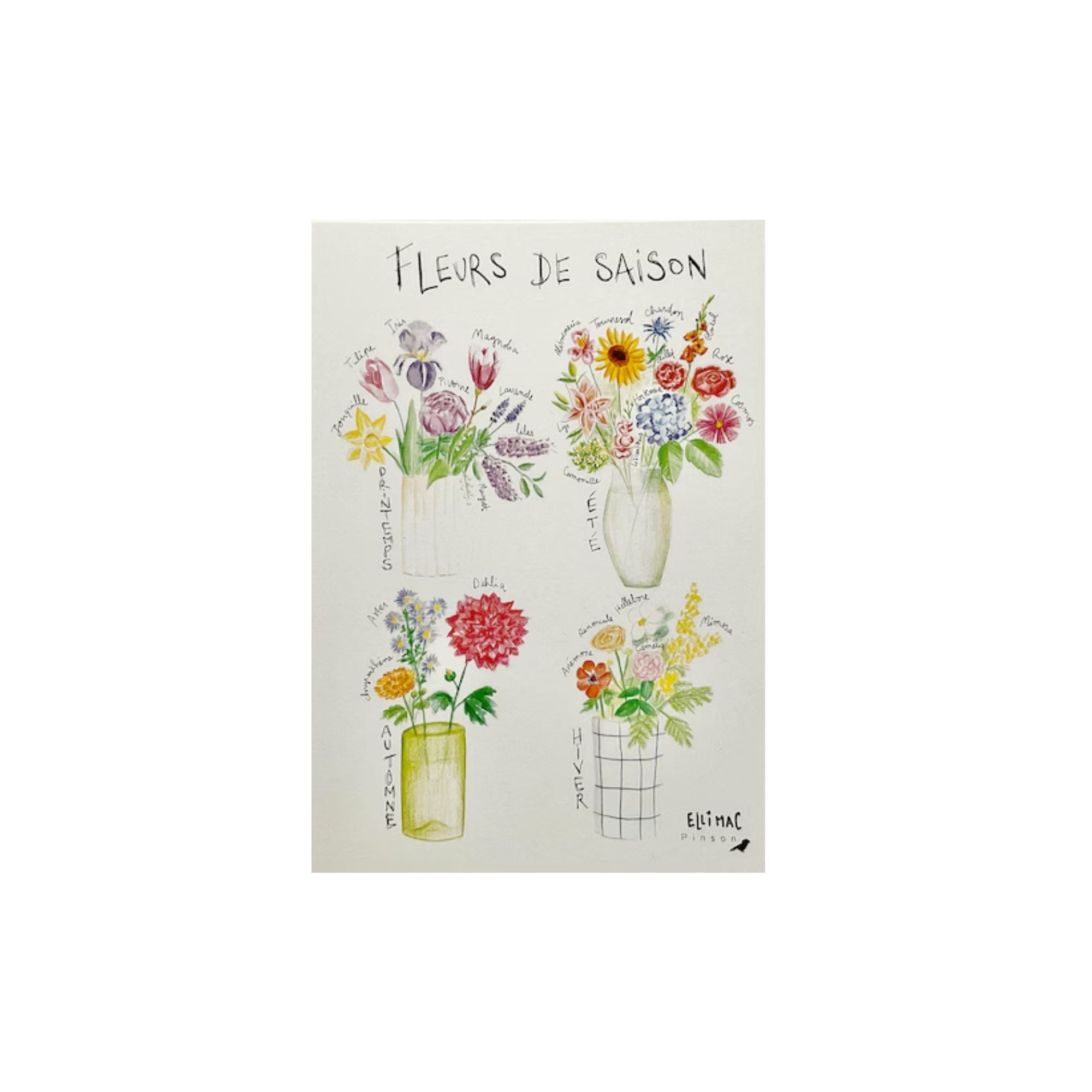 Ellimac Pinson , Grande carte A5 "Fleurs de Saison"