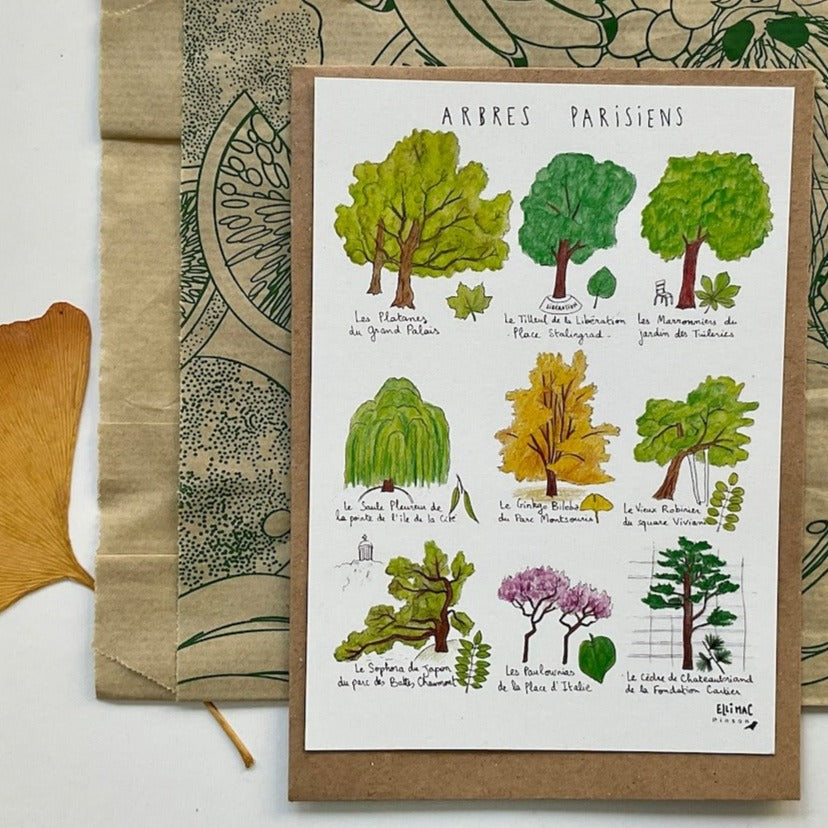Ellimac Pinson, Petite carte A6 - "Arbres Parisiens"