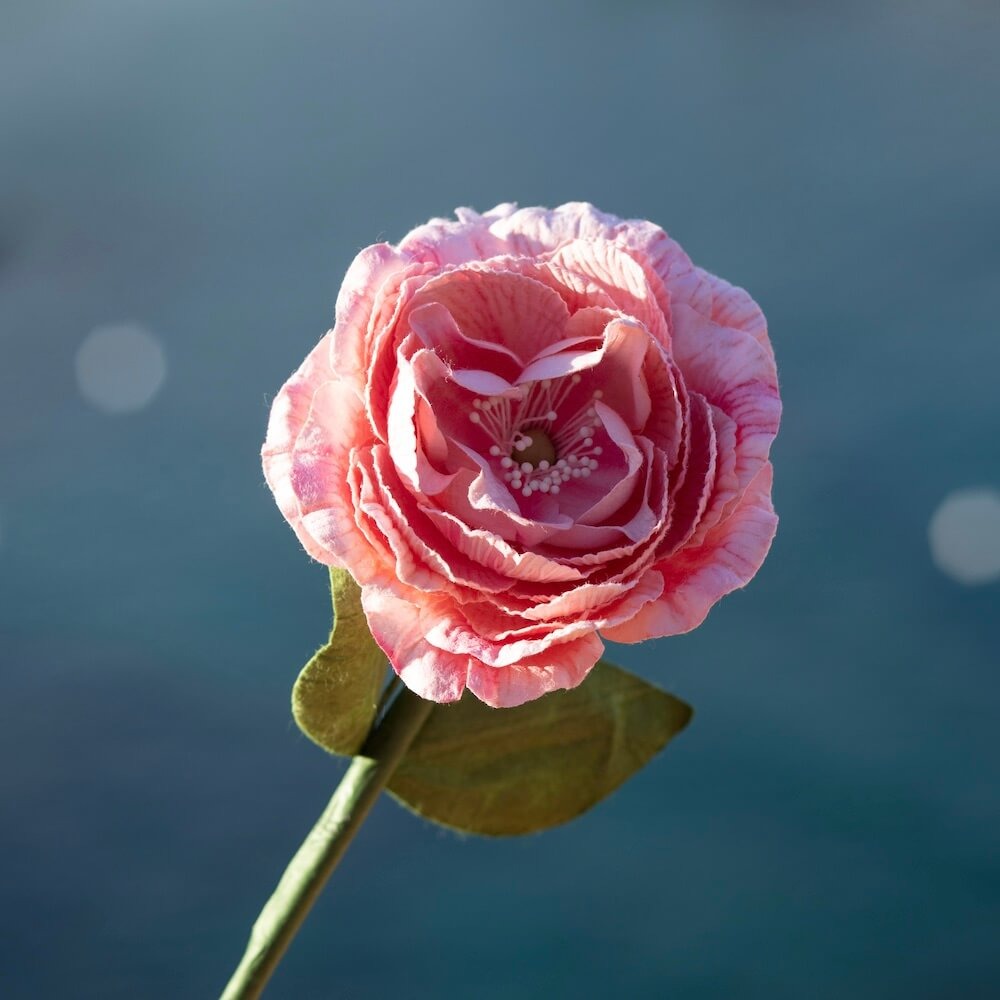 Flowrette, Camélia en papier -  Rose pâle