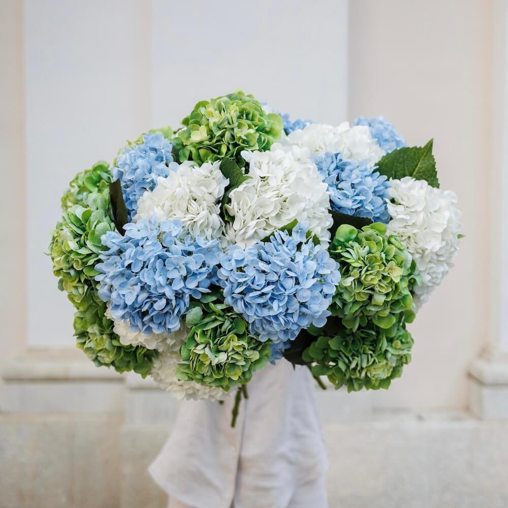 Flowrette, Hortensia en papier - Blanc