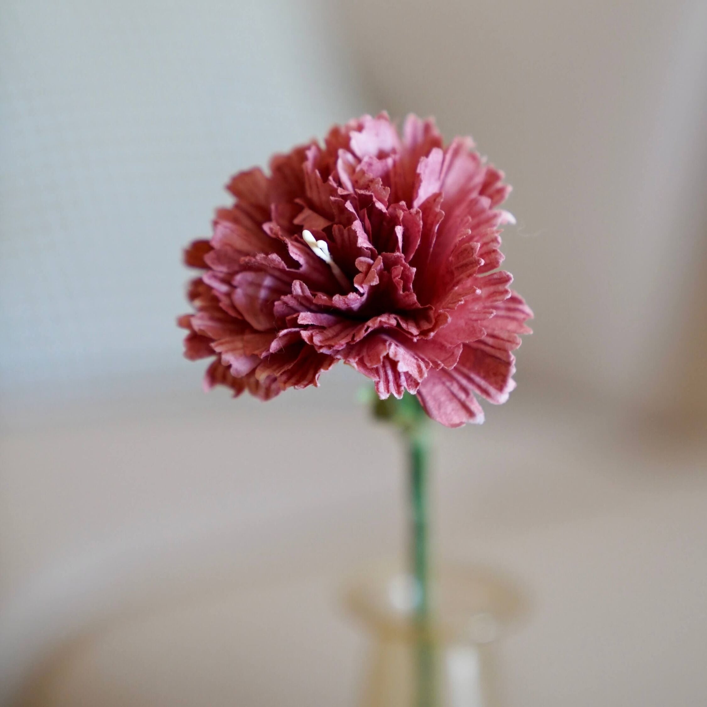 Flowrette, Oeillet en papier - Terracotta