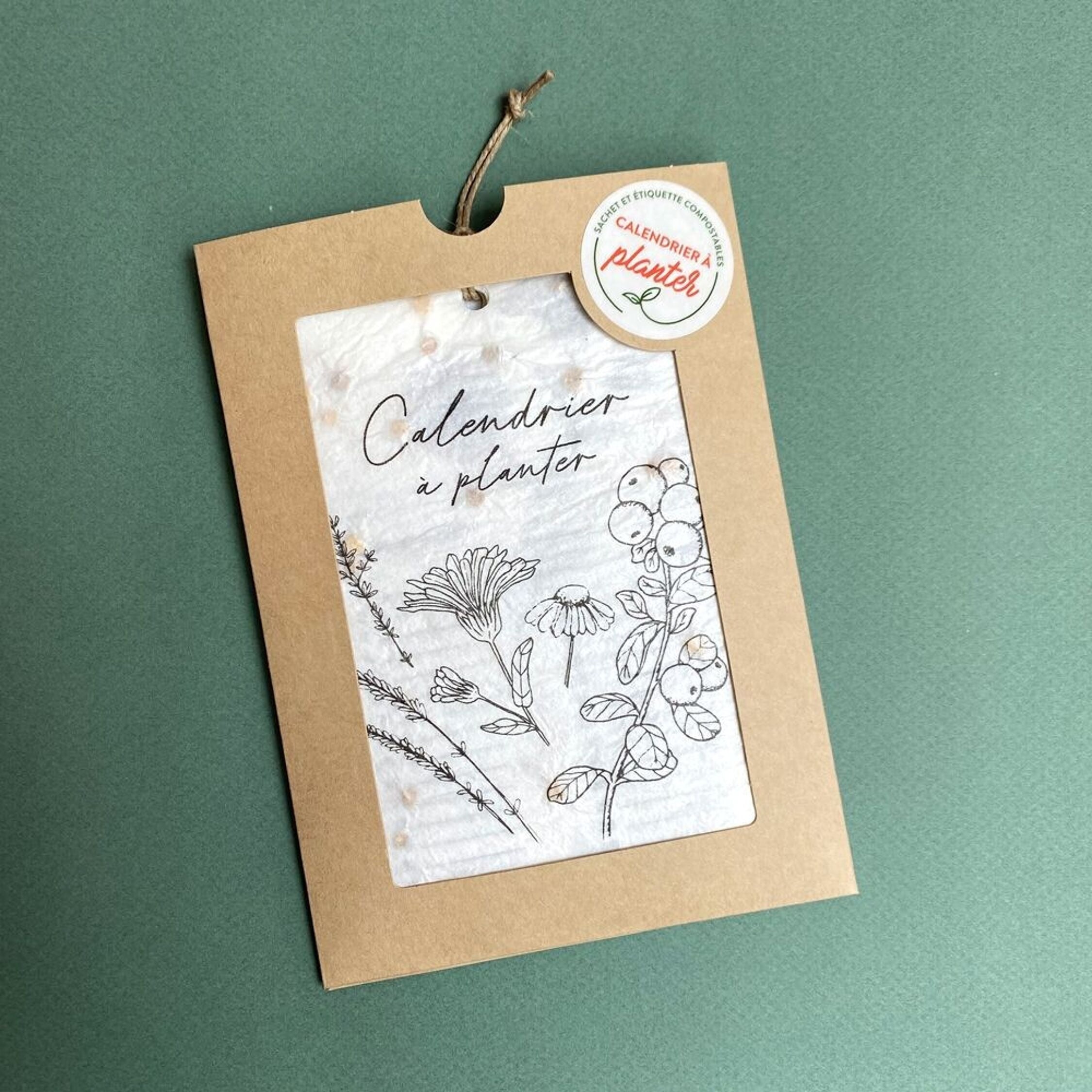 Growing Paper, Calendrier à planter 2026 - Les plantes médicinales