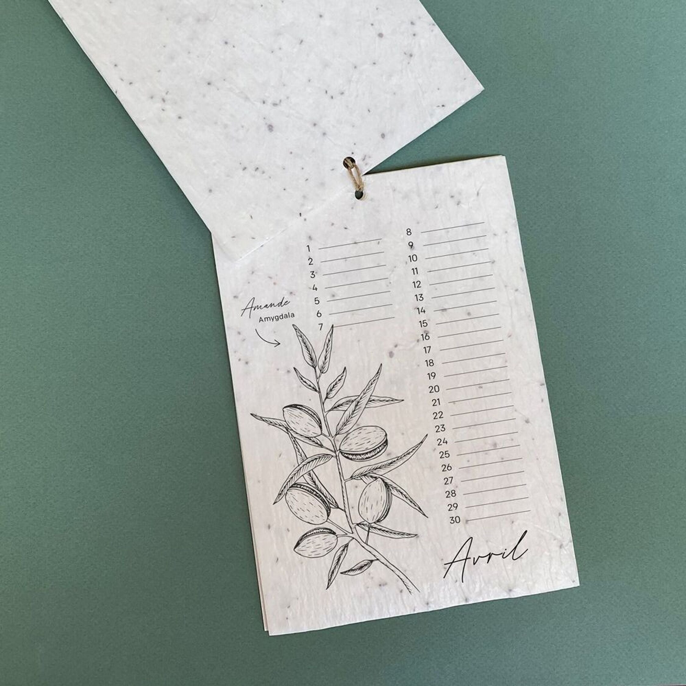 Growing Paper, Calendrier à planter 2026 - Les plantes médicinales