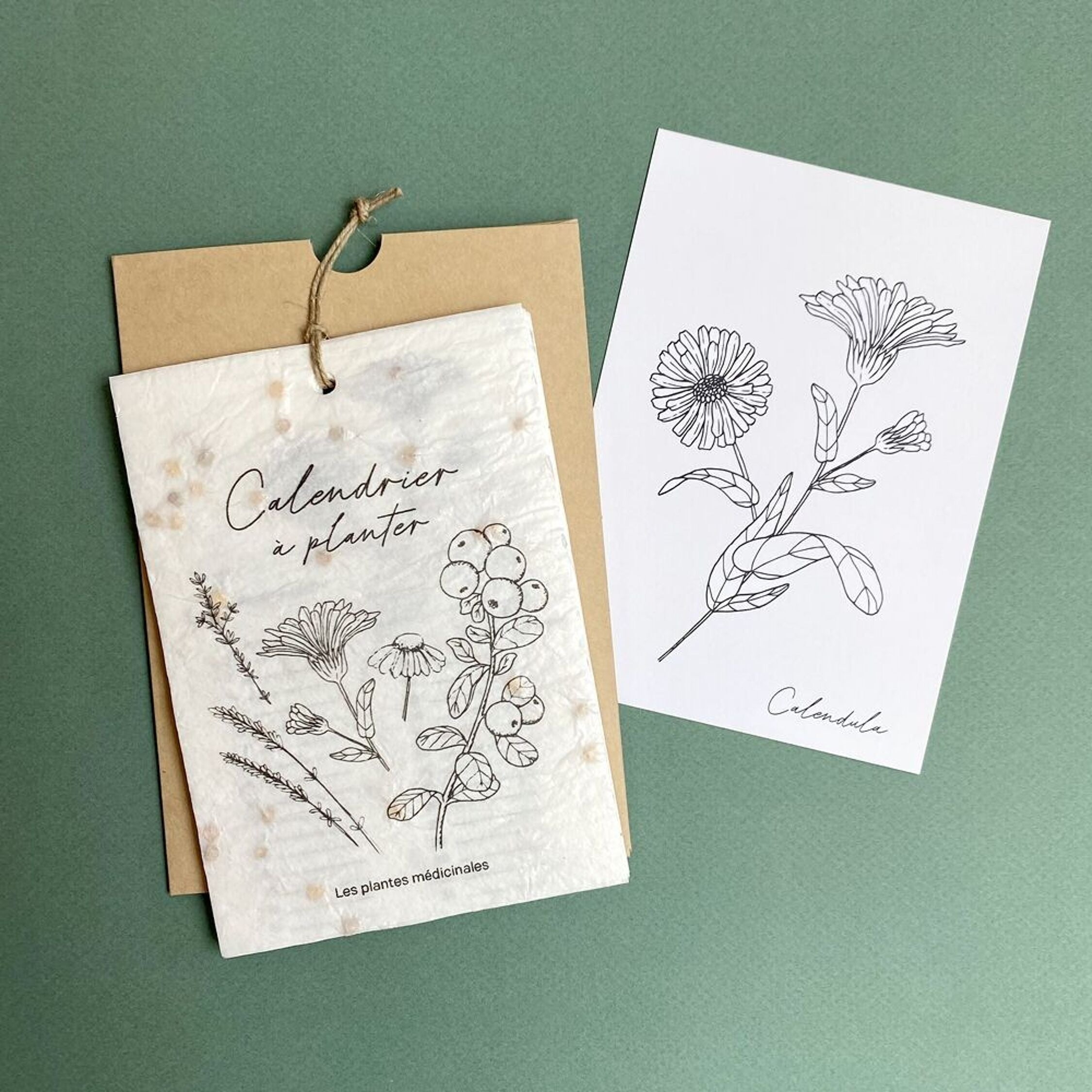 Growing Paper, Calendrier à planter 2026 - Les plantes médicinales