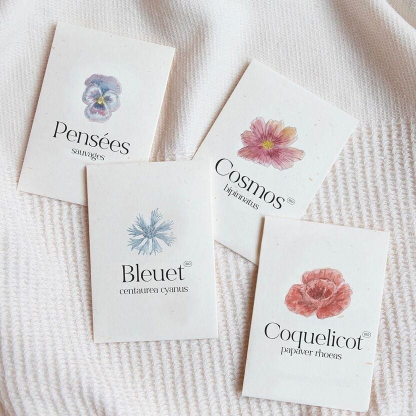 La Fabrique à Sachets, Sachet de graines de Bleuet - Botanica