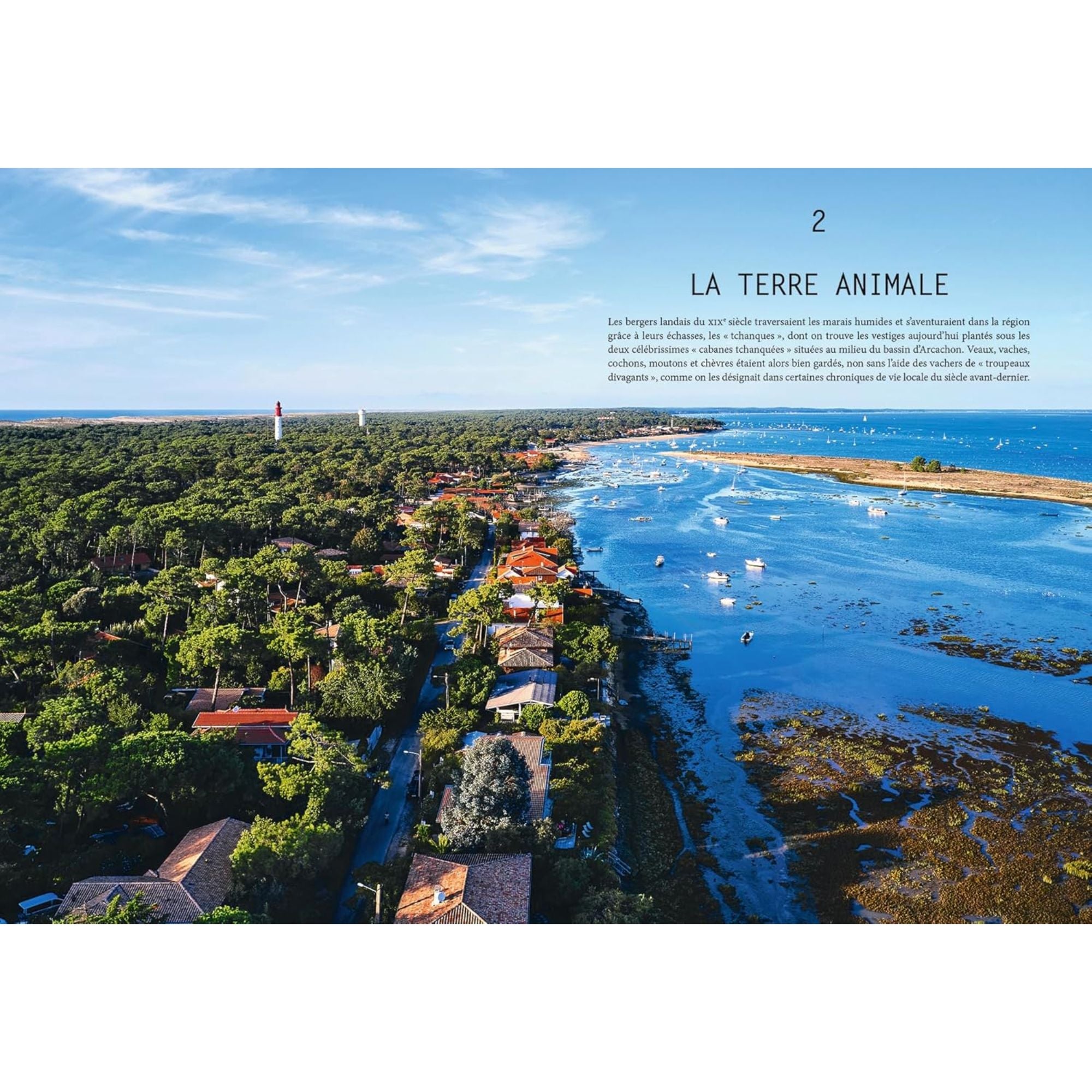 Livre de recettes - L'été gourmand au Cap Ferret