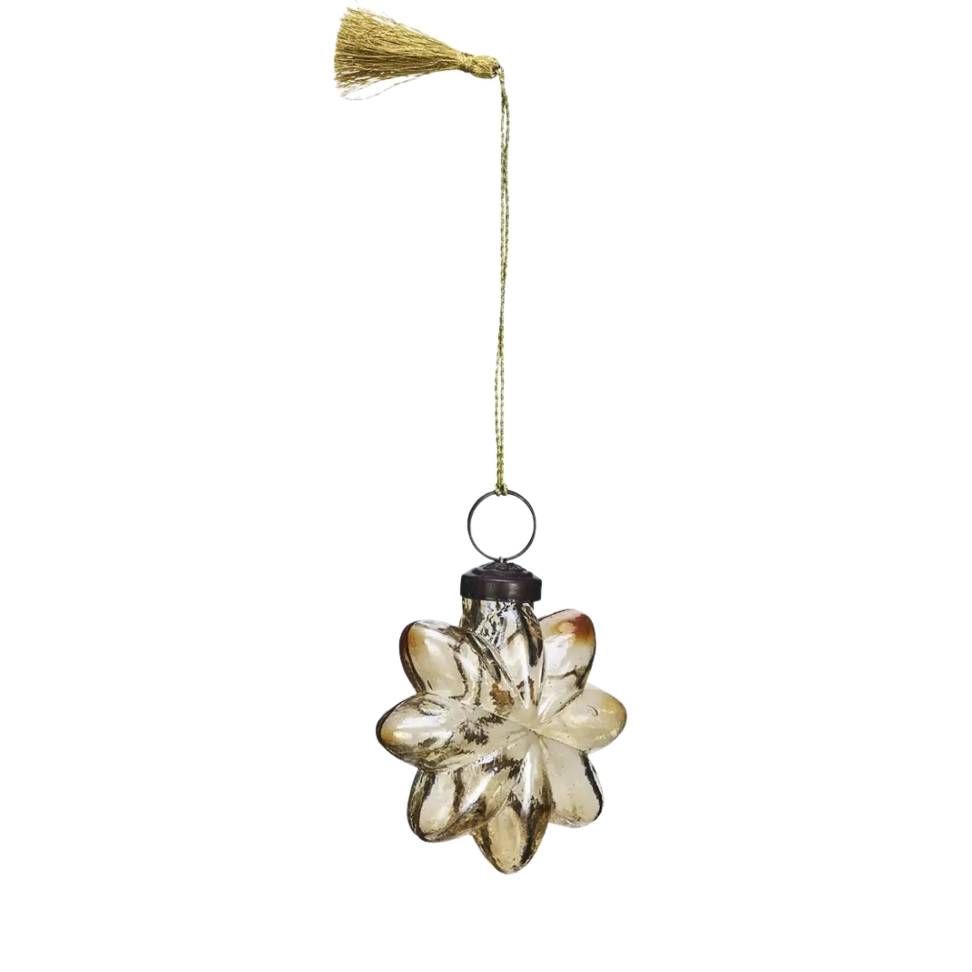 Madam Stoltz, Etoile de Noël -