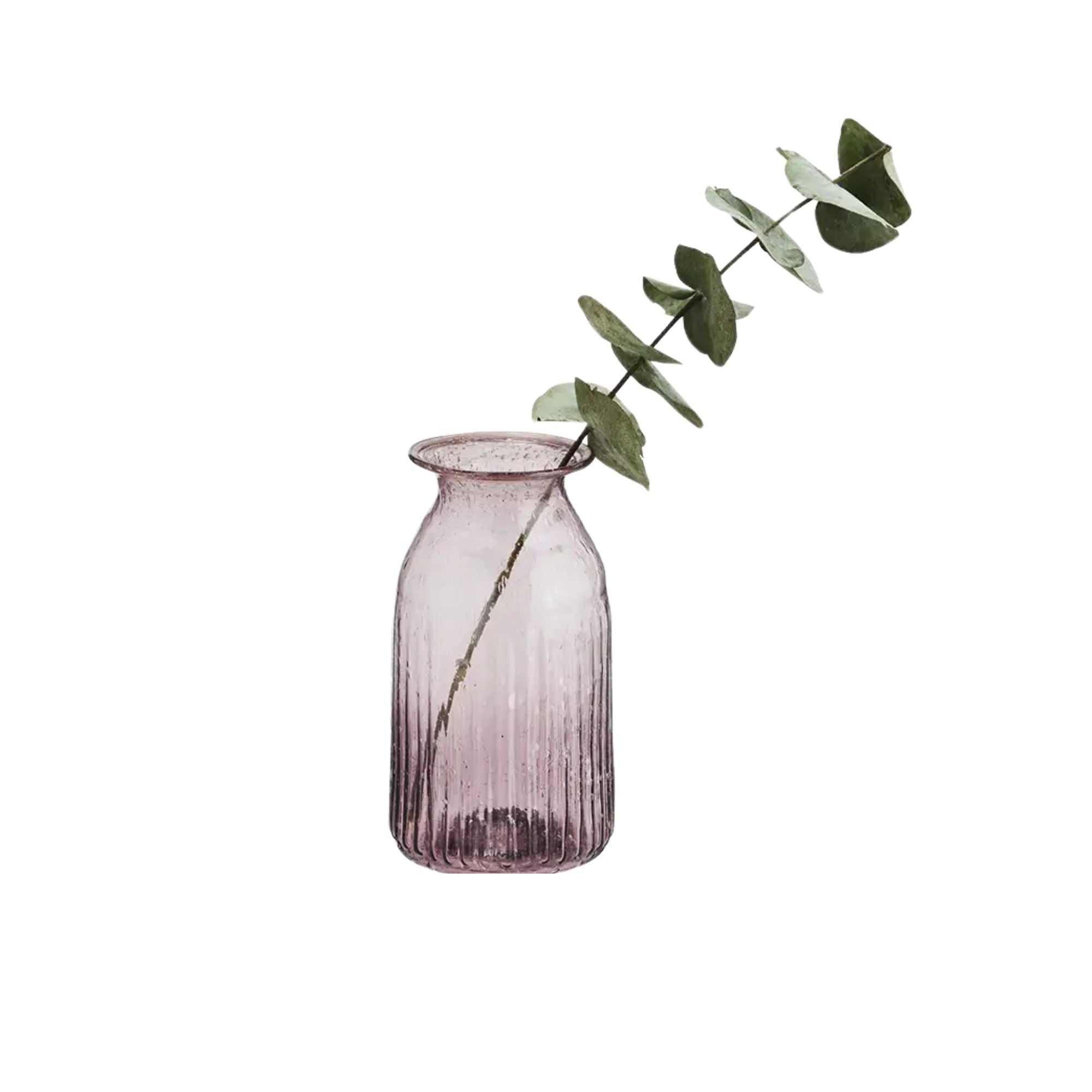 Madam Stoltz, Soliflore - Violet