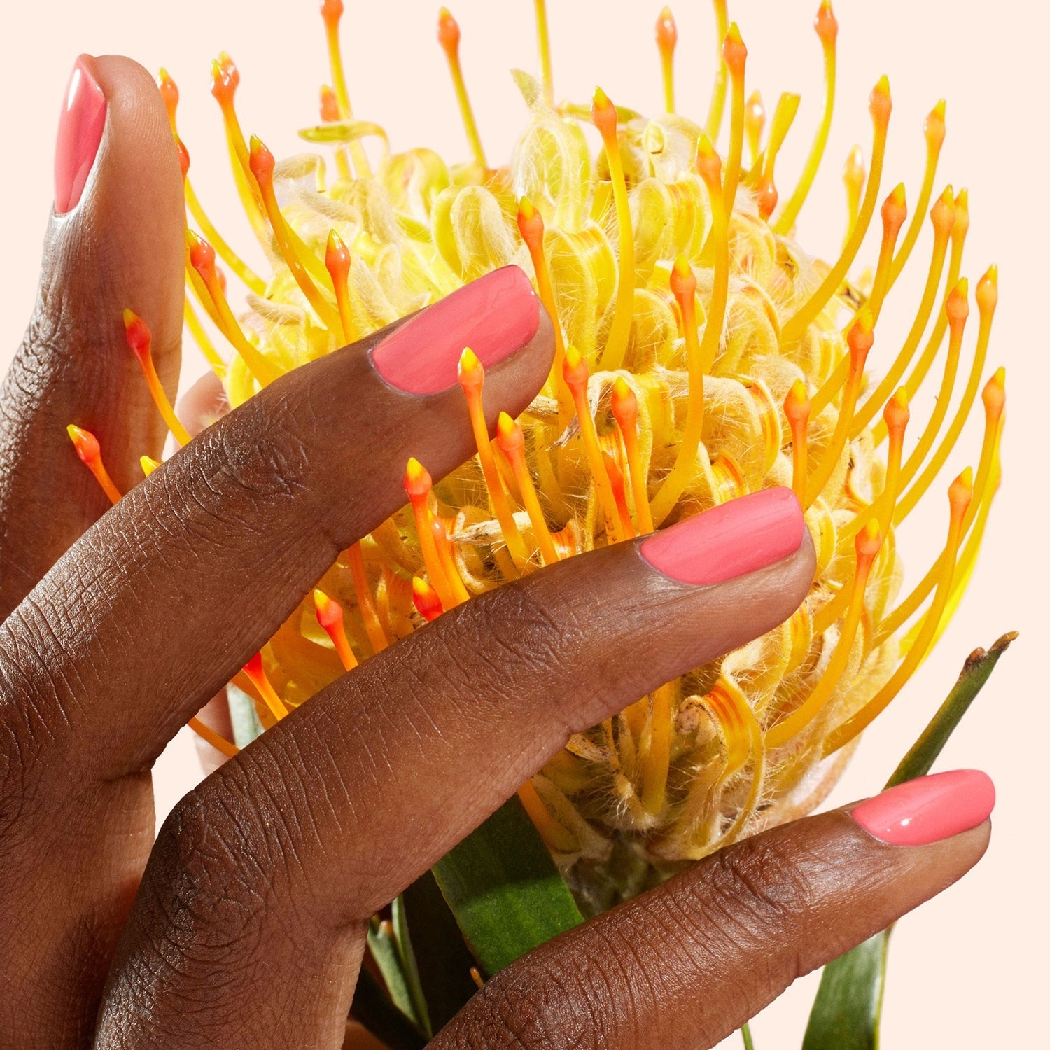 Manucurist, Vernis Green - Capucine