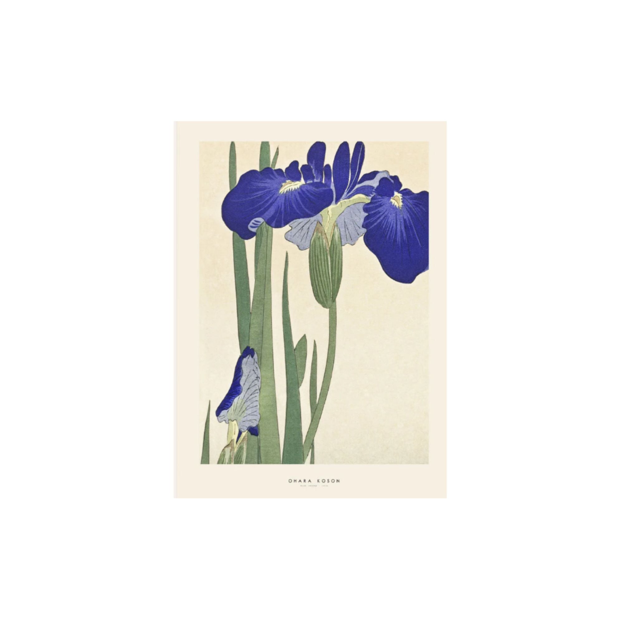 PSTR Studio, Affiche - Ohara Koson, Blue Irises