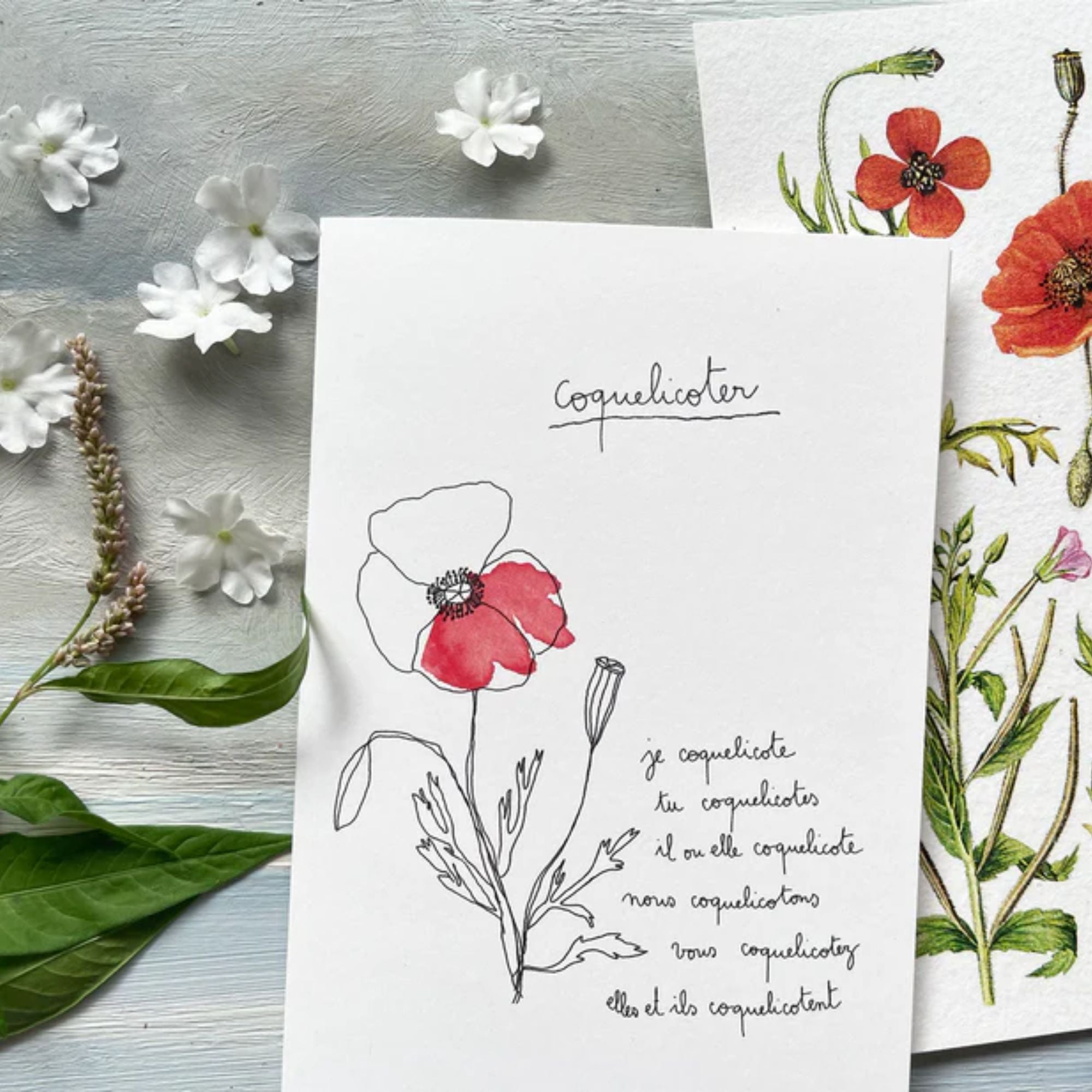 Papillonnage, Carte - Coquelicoter