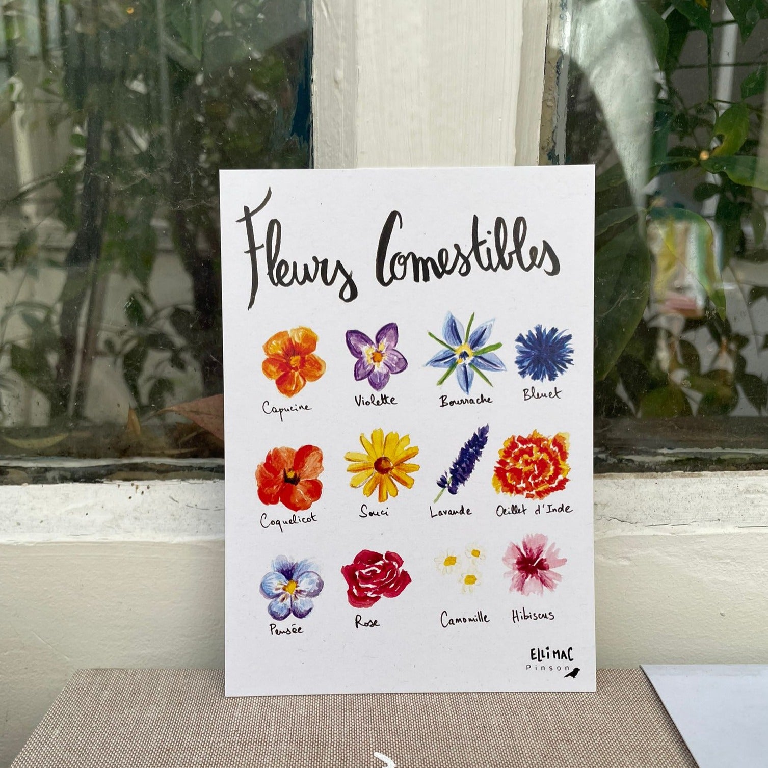 Petite carte A6 Fleurs Comestibles Ellimac Pinson