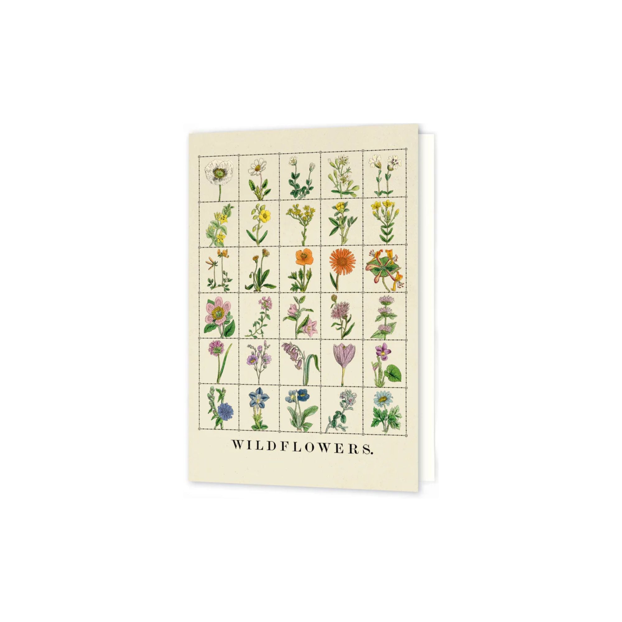 Roomytown, Carte - Fleurs sauvages