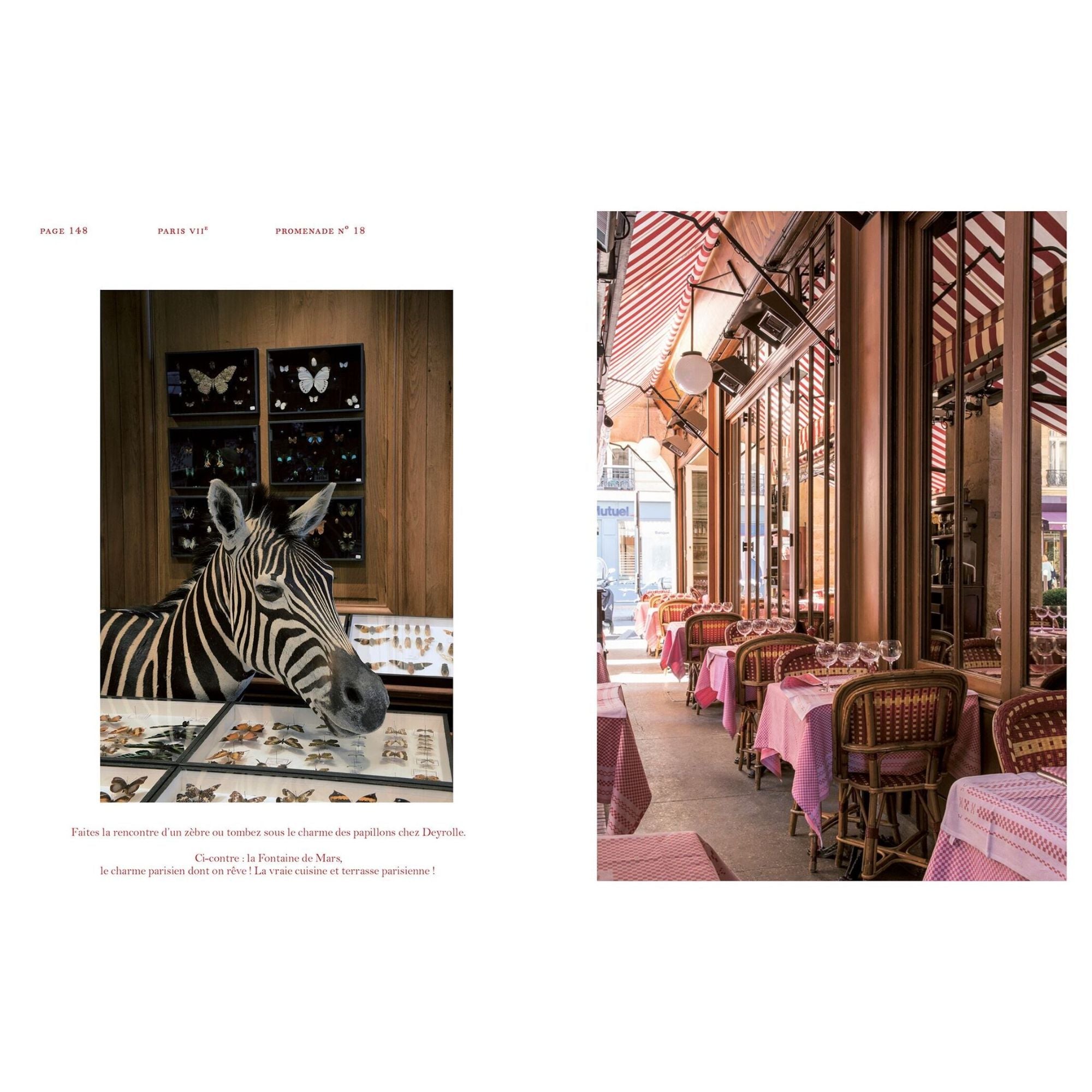 Zoé de Las Cases, Carnet d'Adresse - Paris Chéri