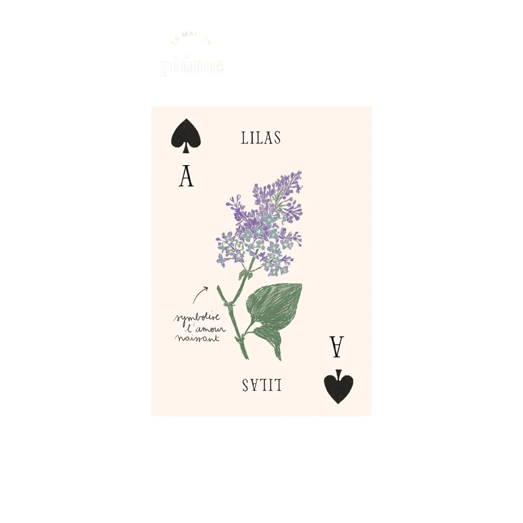 Zoé de Las Cases, Jeu de cartes Les fleurs