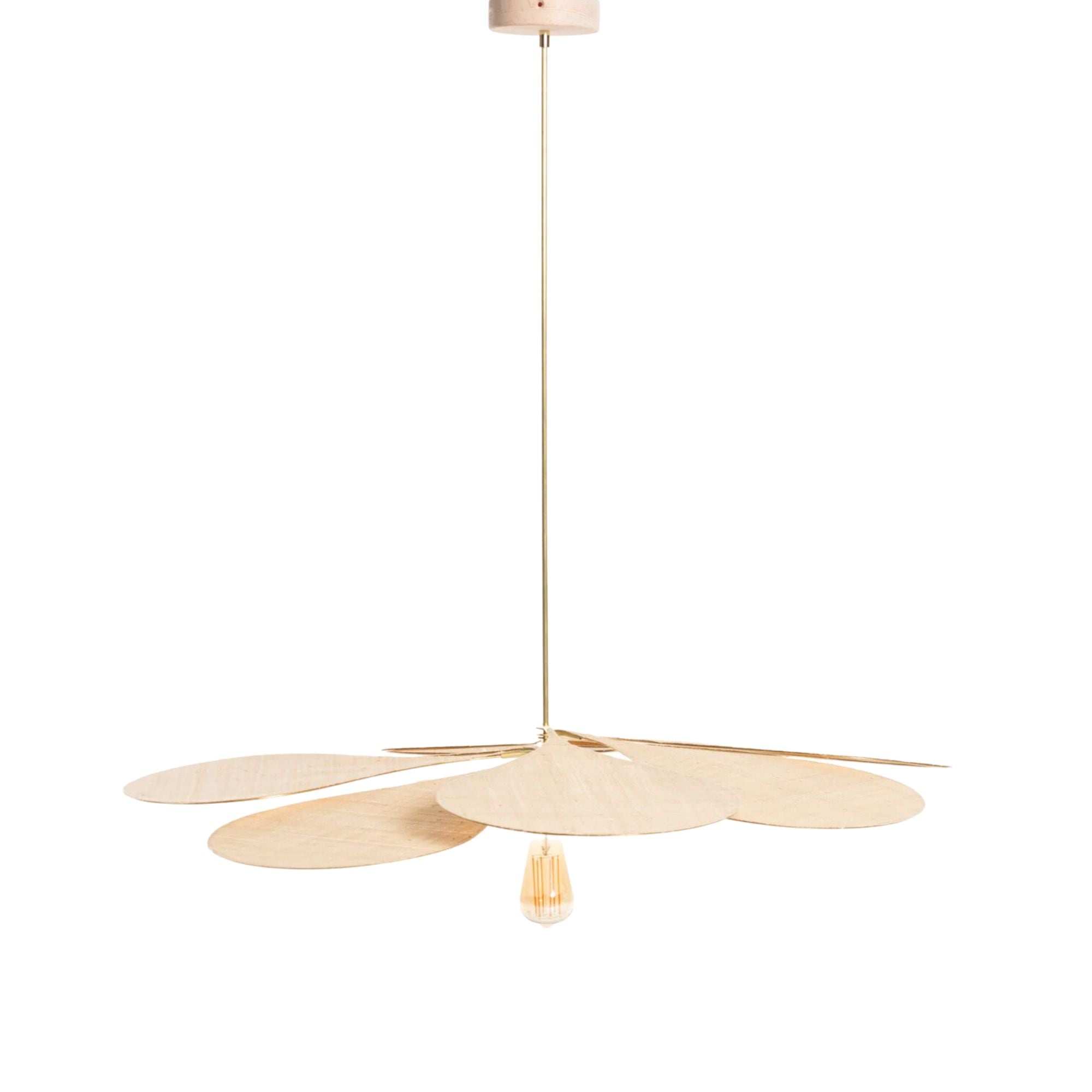 Georges Store, Centieme, La Précieuse - Raphia