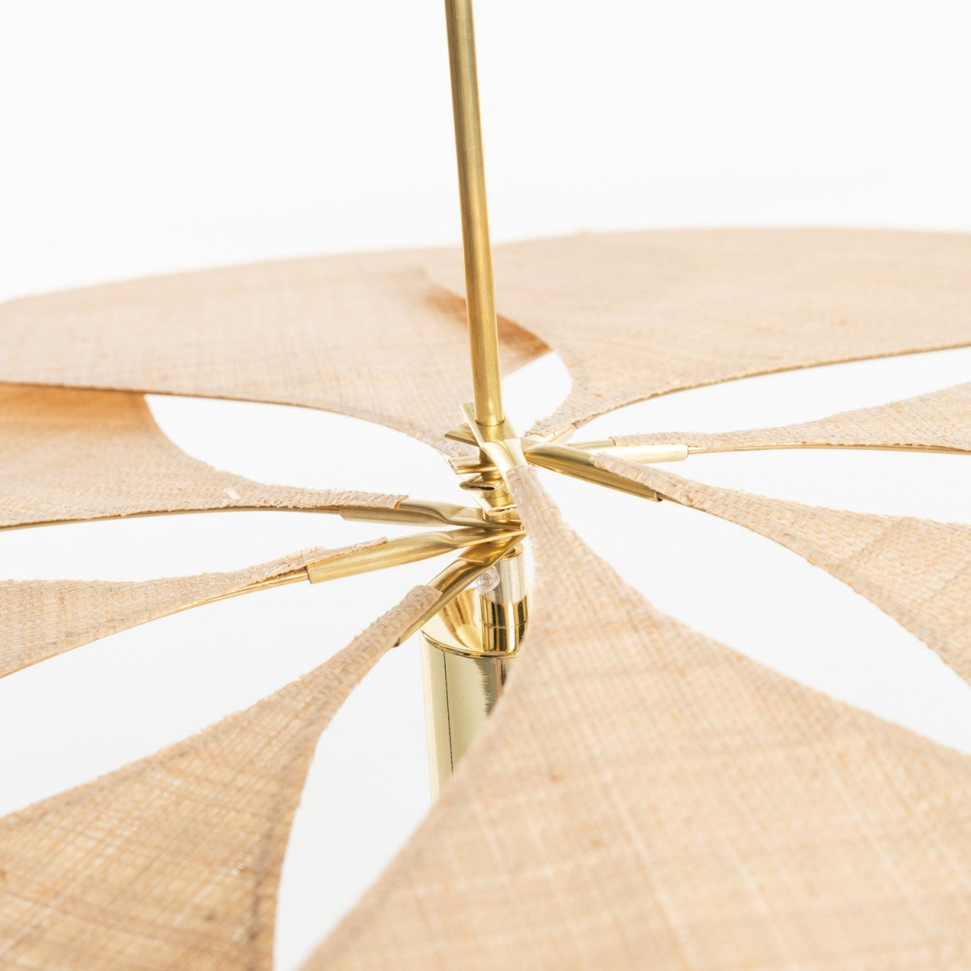 Georges Store, Centieme, La Précieuse - Raphia