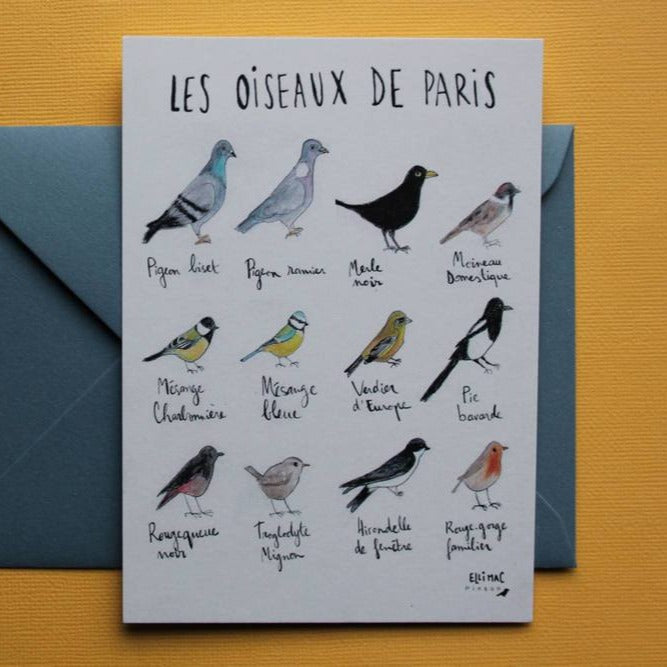 Ellimac Pinson, Petite carte A6 Oiseaux de Paris