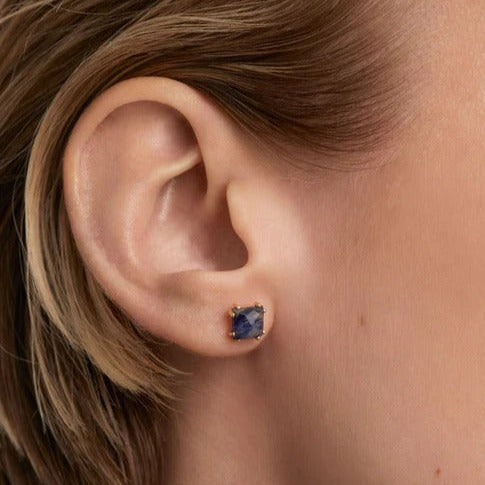 Boucle d'oreilles PD Paola - Suki Sodalite