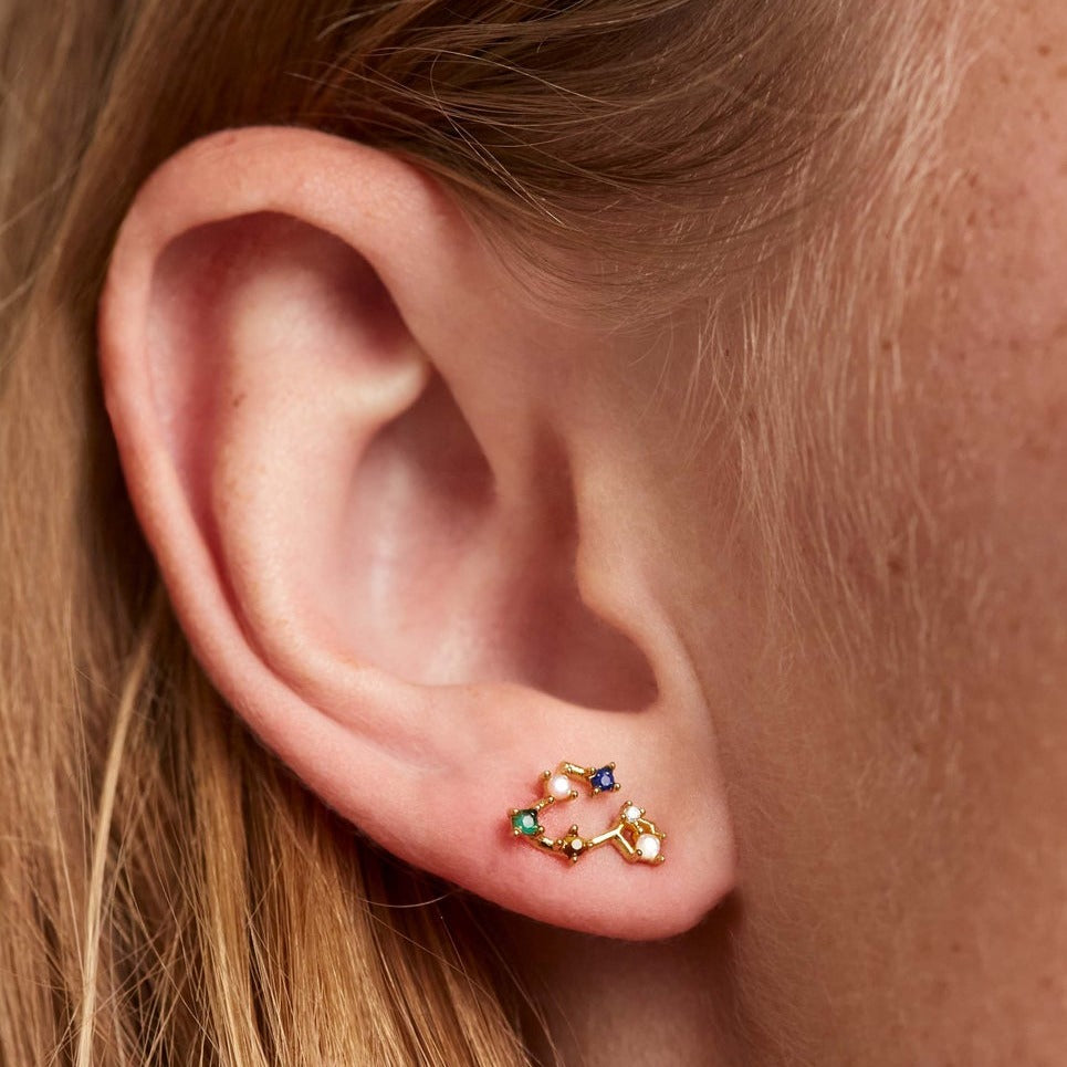 Boucles d'oreilles Zodiaque PD Paola - Poisson