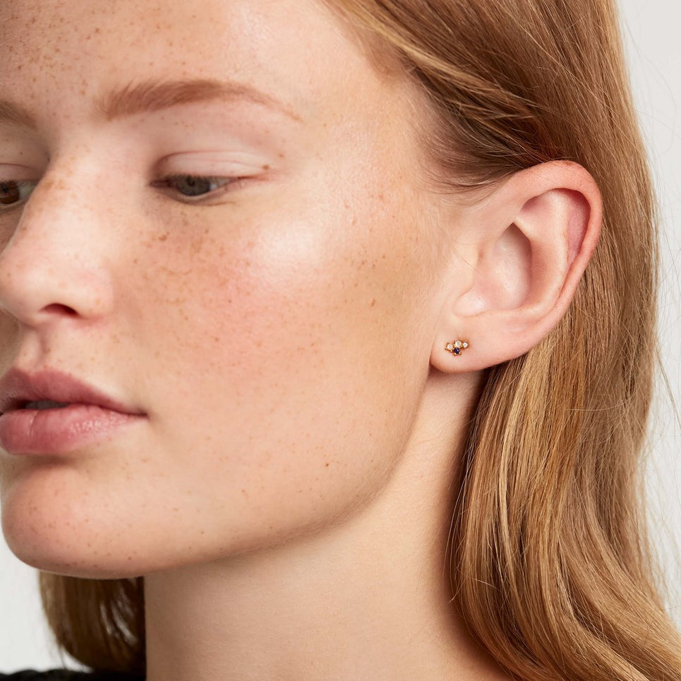 Boucles d'oreilles Zodiaque PD Paola - Poisson