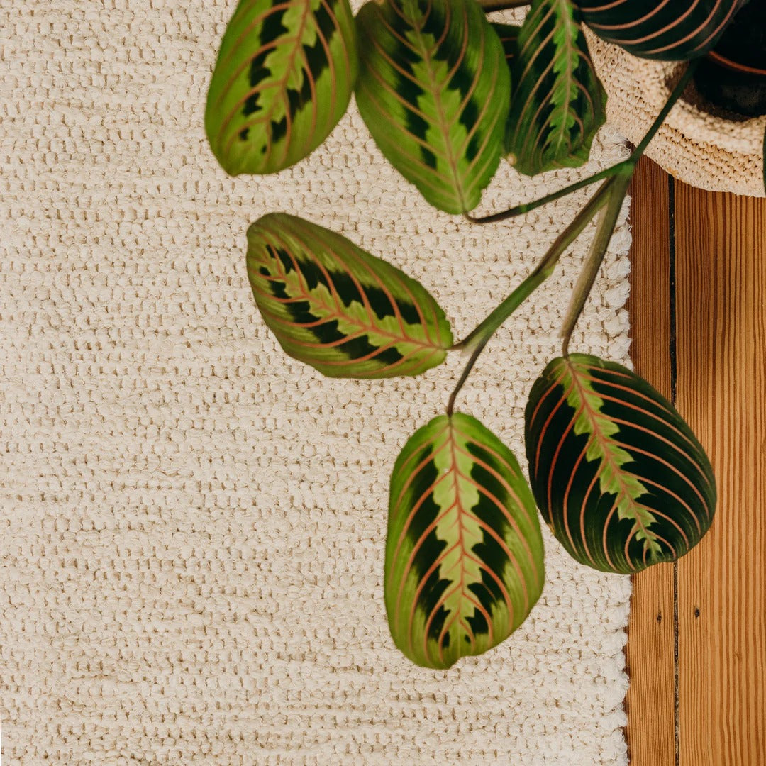 Tapis Nunamae - Lucas Ecru