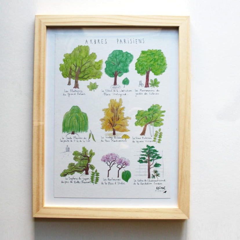 Ellimac Pinson, Grande carte A5 - "Abres Parisiens"