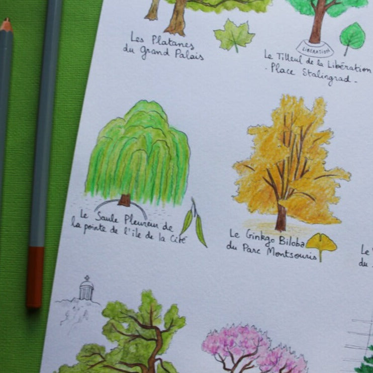 Ellimac Pinson, Grande carte A5 - "Abres Parisiens"