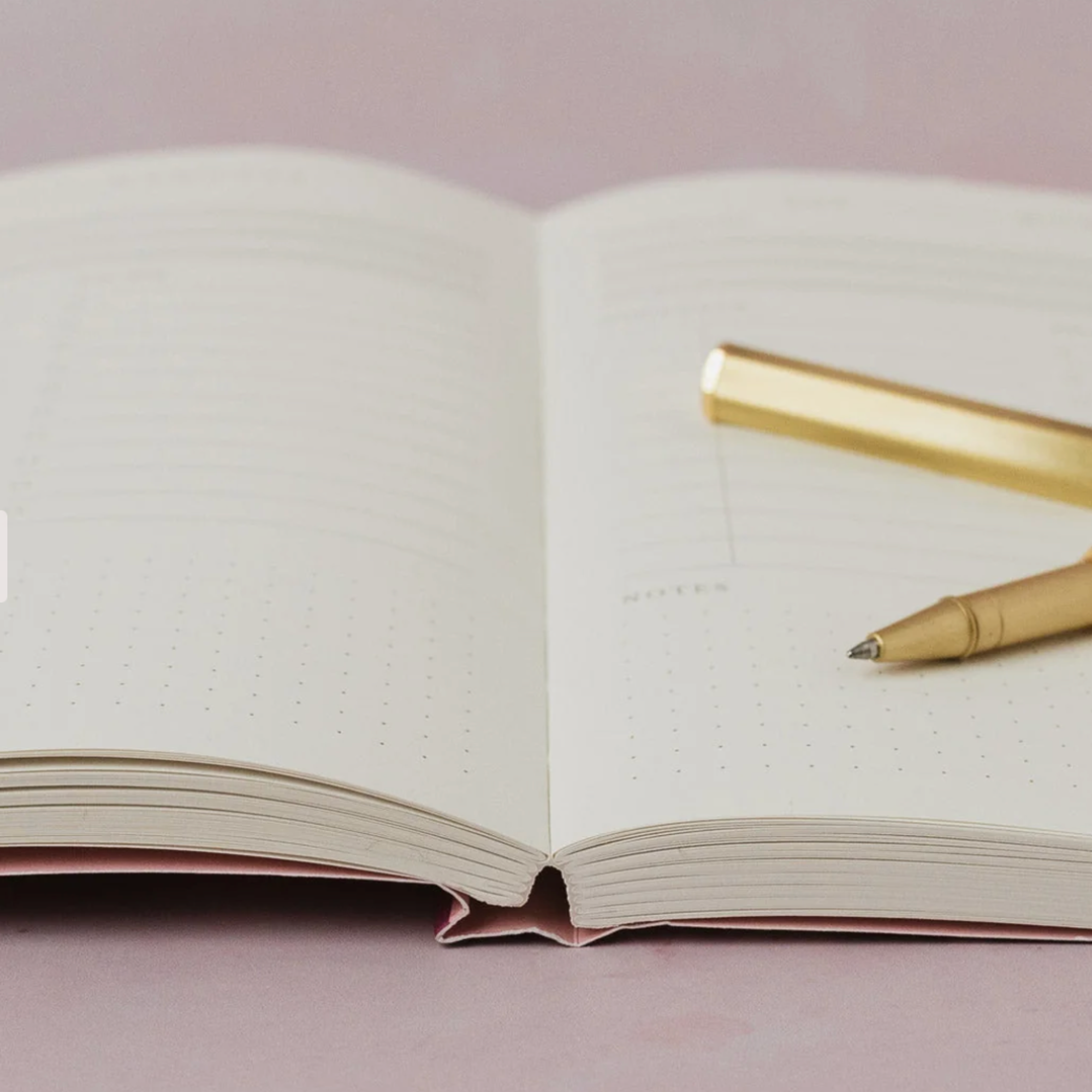 Sister Paper Co, Cahier Study Daily Planner - Coloré