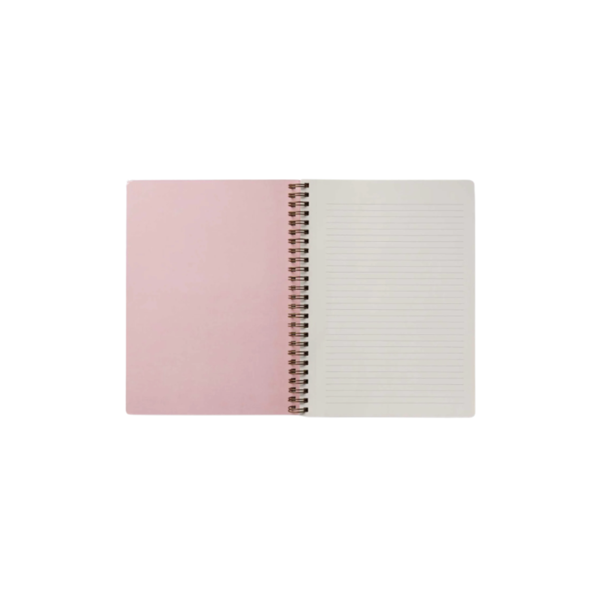 Rifle Paper Co, Carnet à spirale - Delphine