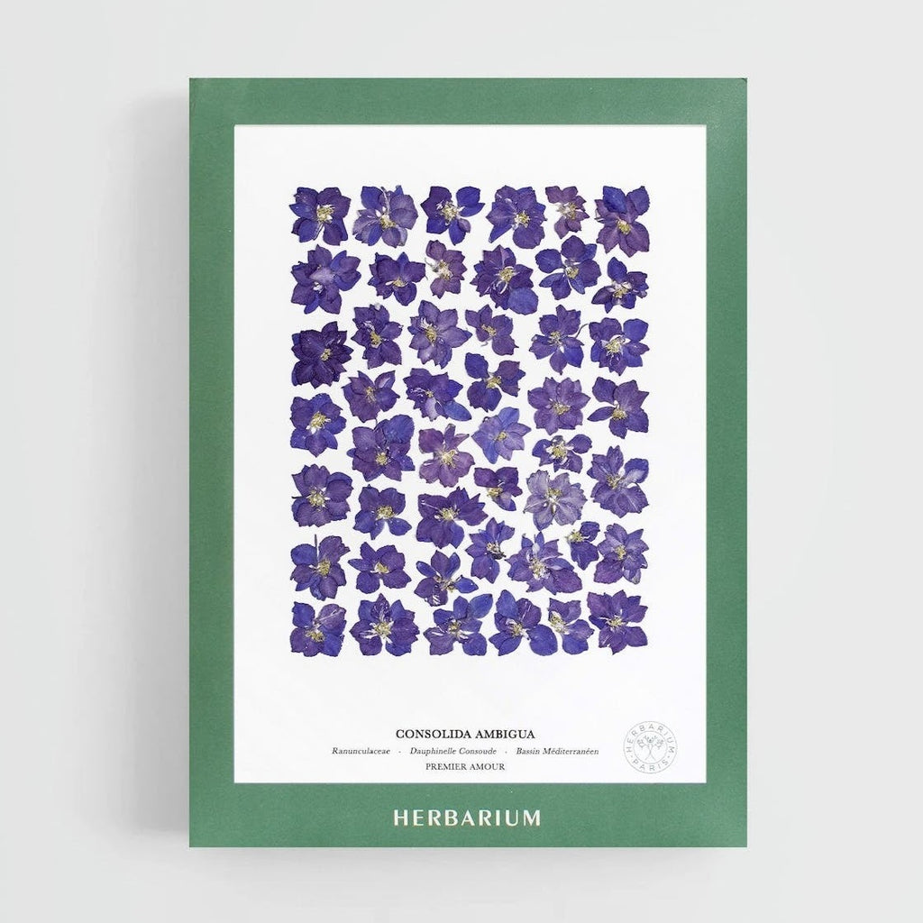 Herbier Herbarium - Dauphinelle violette