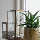 Madam Stoltz, Bougeoirs en verre - Larga