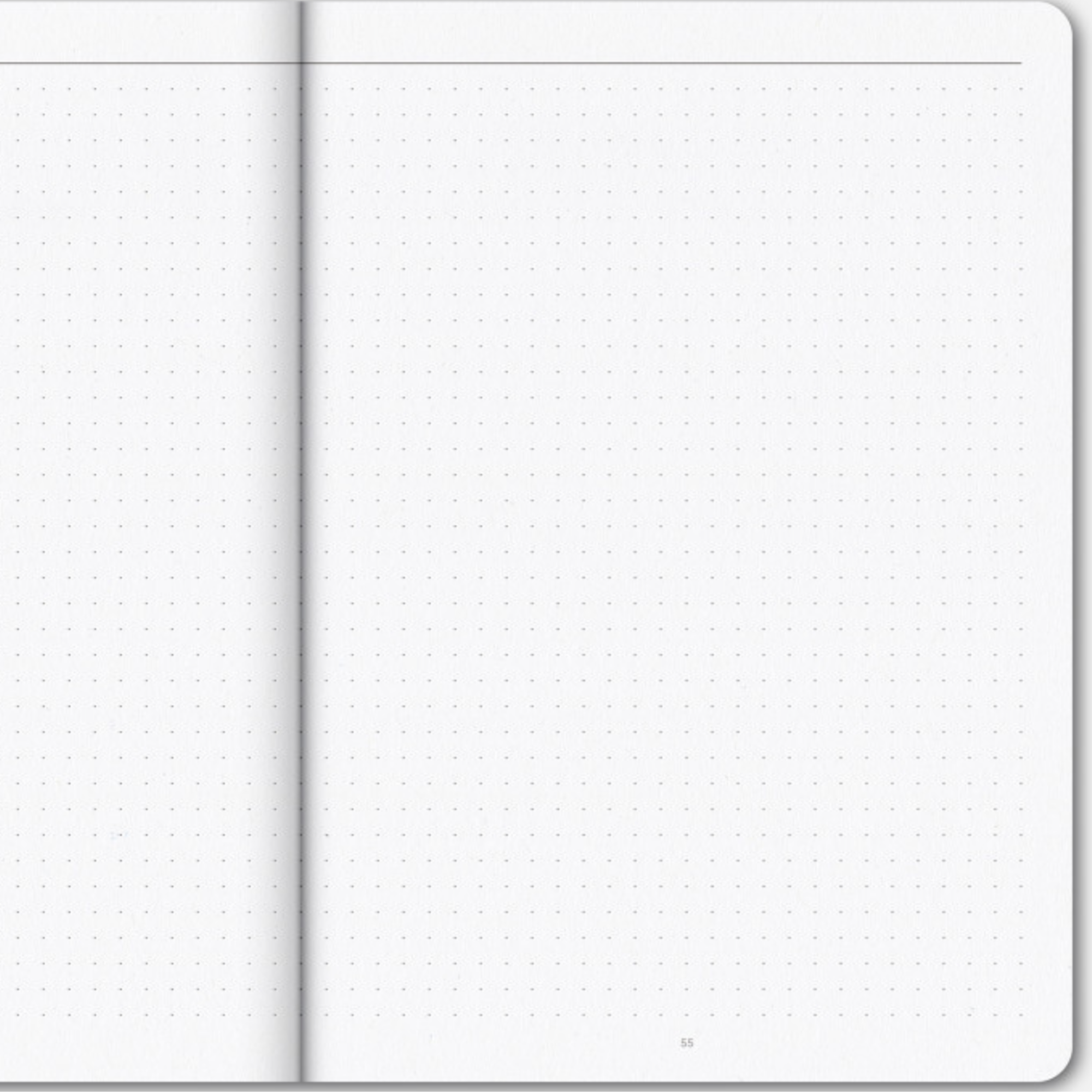 Papier Tigre, Cahier - Pool