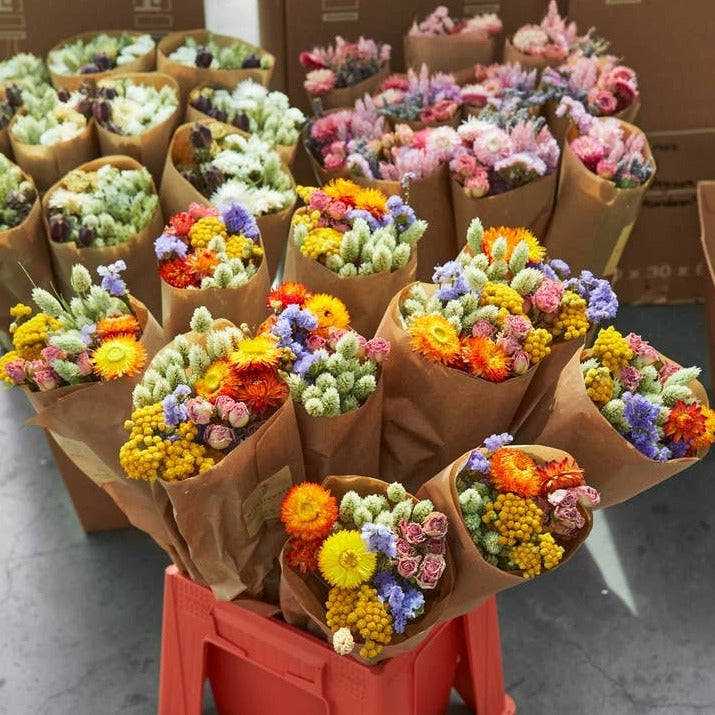 Petit bouquet de fleurs séchées Wildflowers by Floriette- Multi
