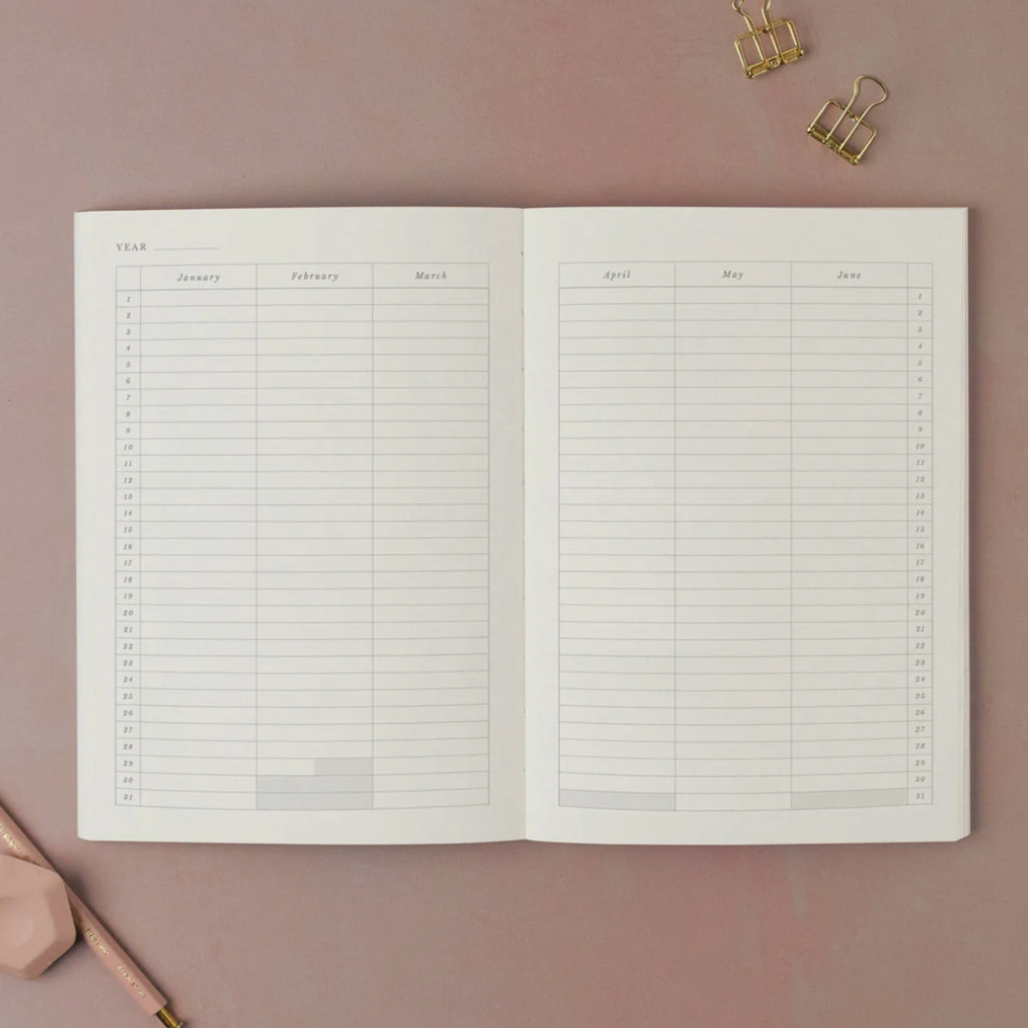 Sister Paper Co, Cahier Study Daily Planner - Coloré