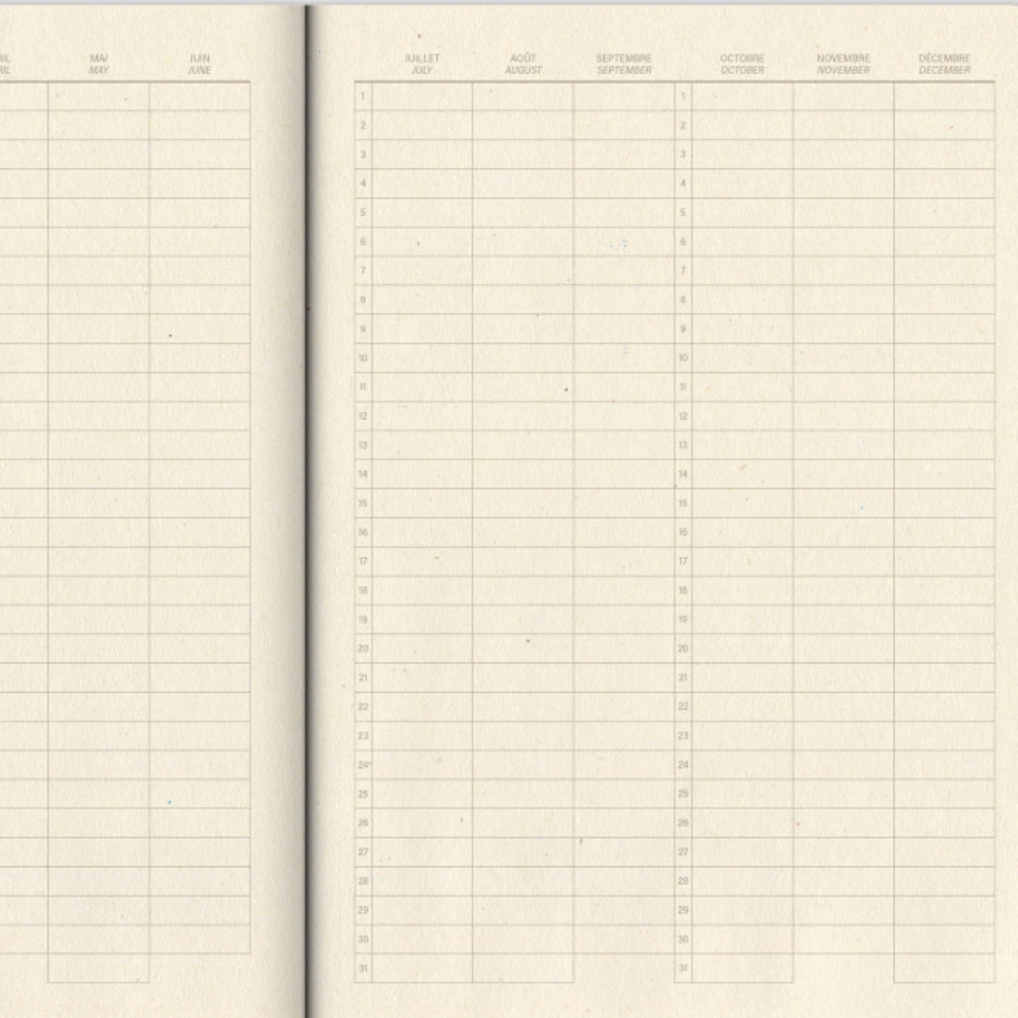 Papier Tigre, Cahier - Pool